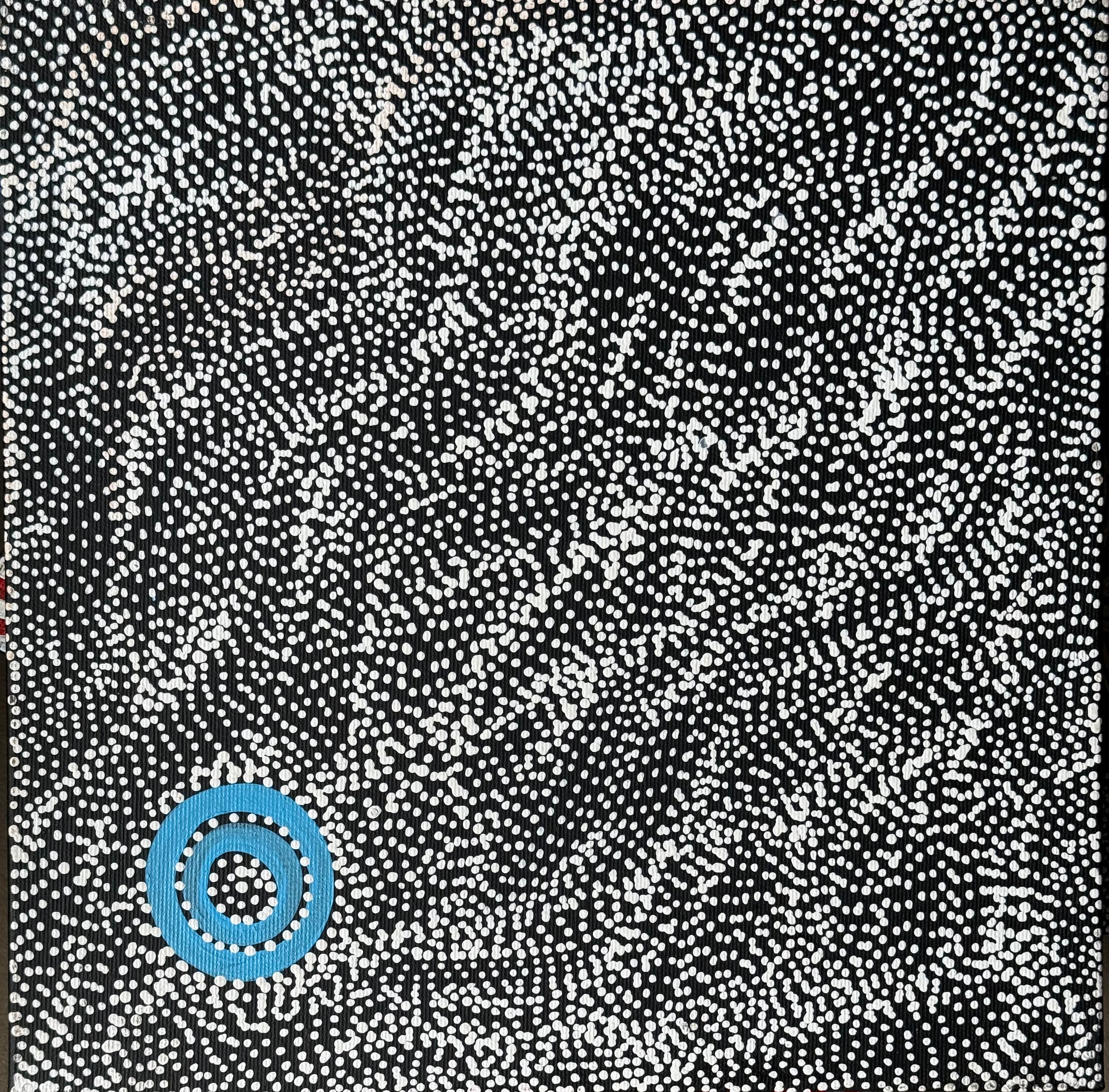 Justinna Napaljarri Sims - Yanjirlpirri or Napaljarri-Warnu Jukurrpa (Star or Seven Sisters Dreaming) - Stretched