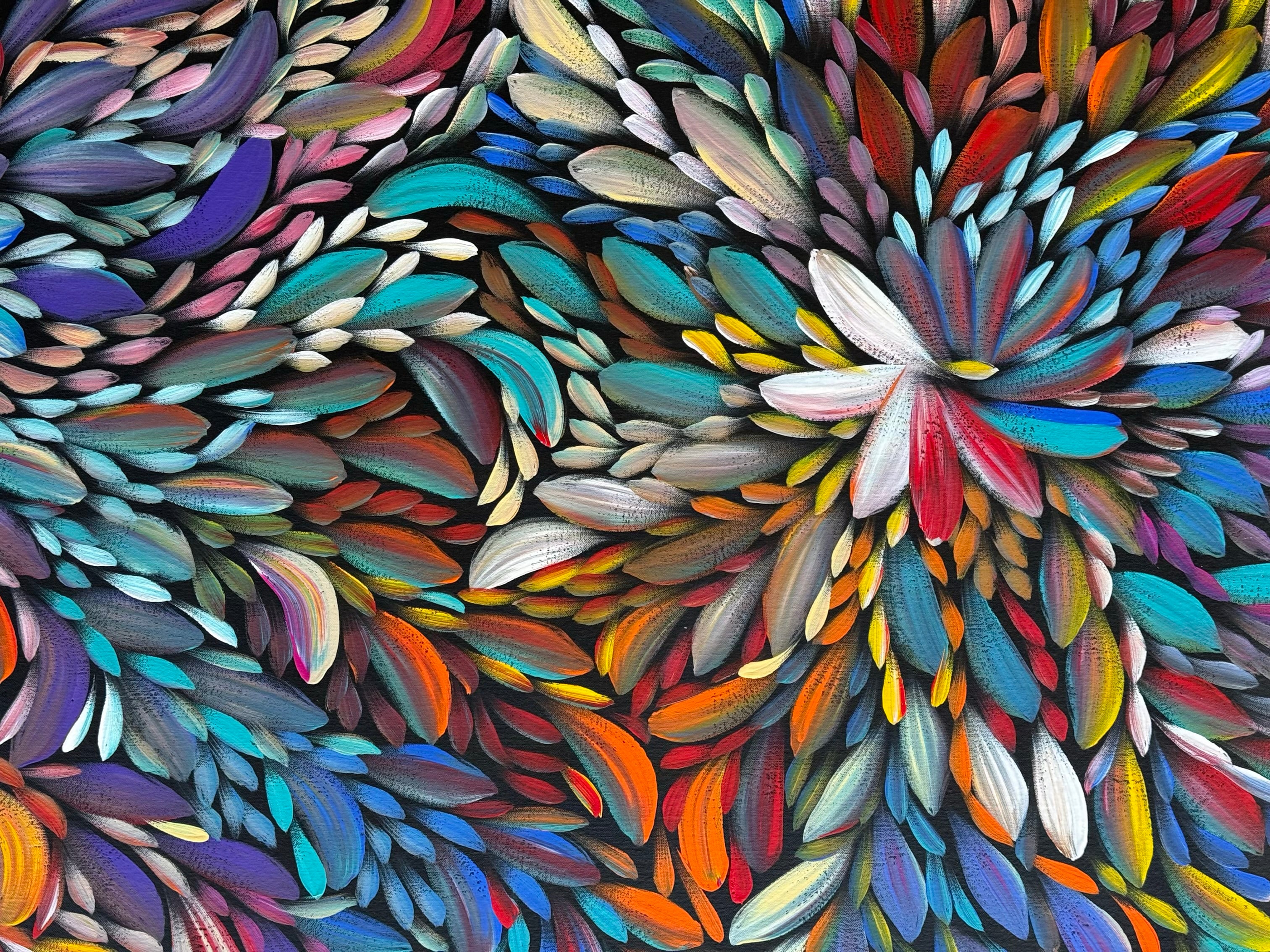 Louise Numina Napananka - Bush Medicine Leaves .41-26