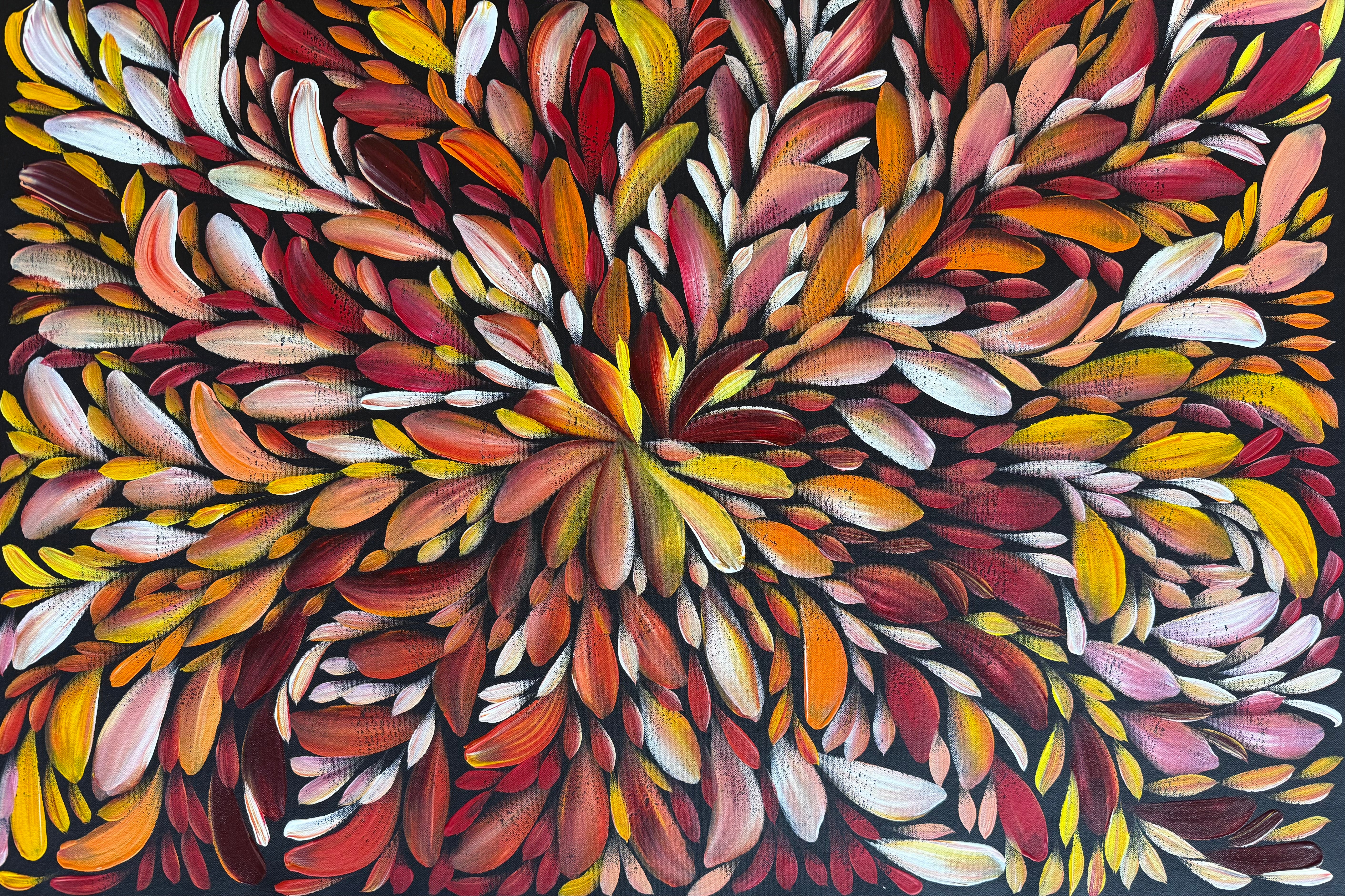 Louise Numina Napananka - Bush Medicine Leaves .24-12
