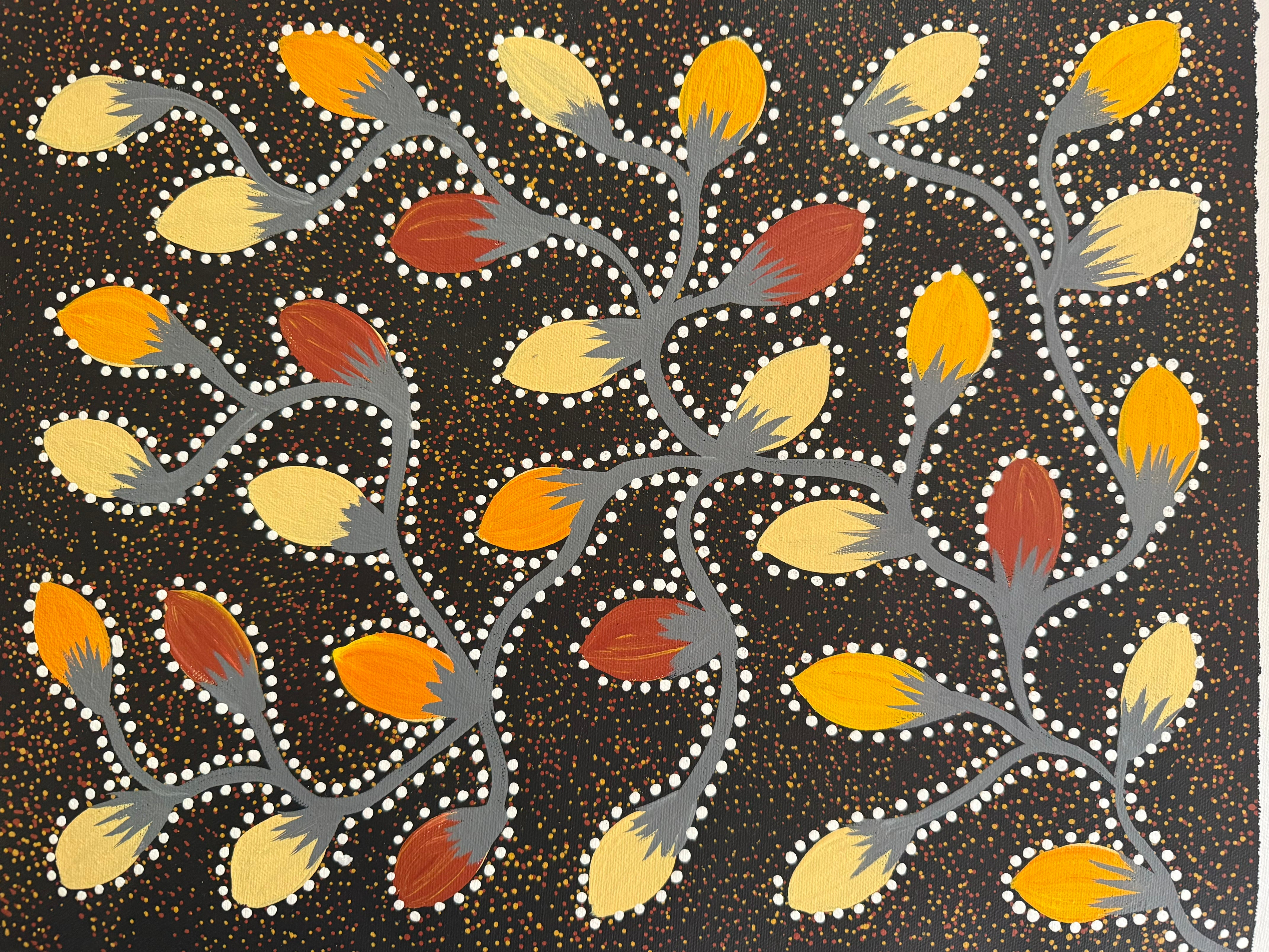 Jacinta Numina Waugh - Bush Plums - 43x33cm .12-15