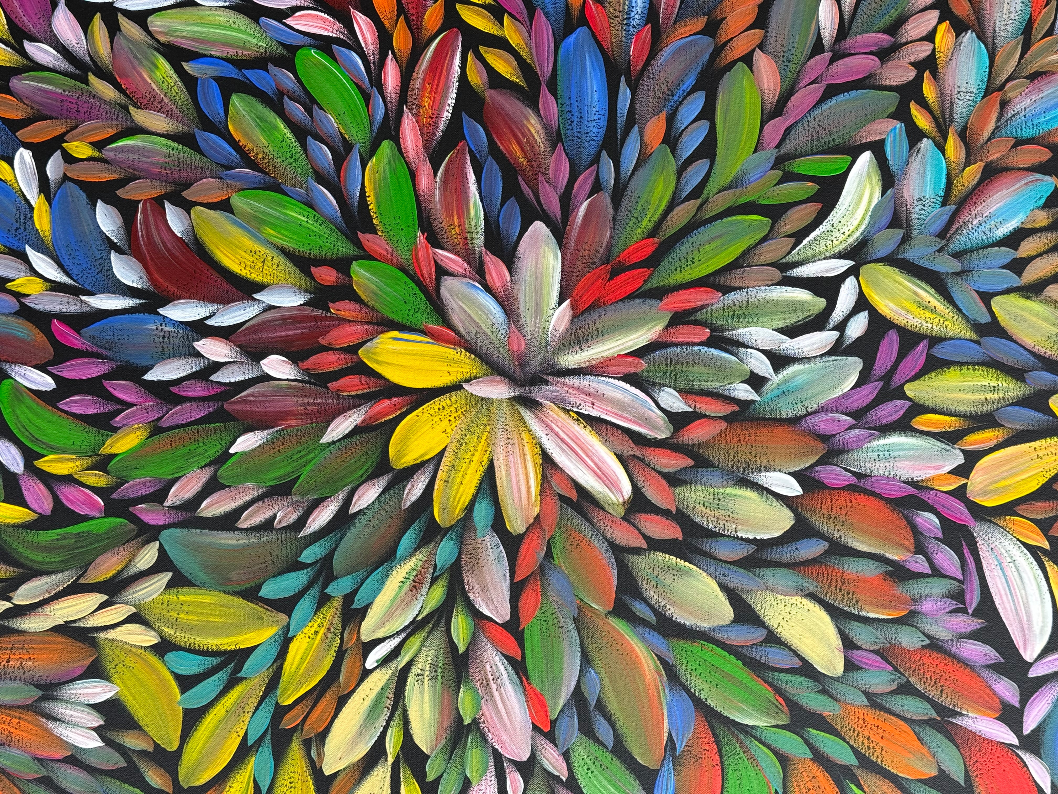 Louise Numina Napananka - Bush Medicine Leaves .21-1