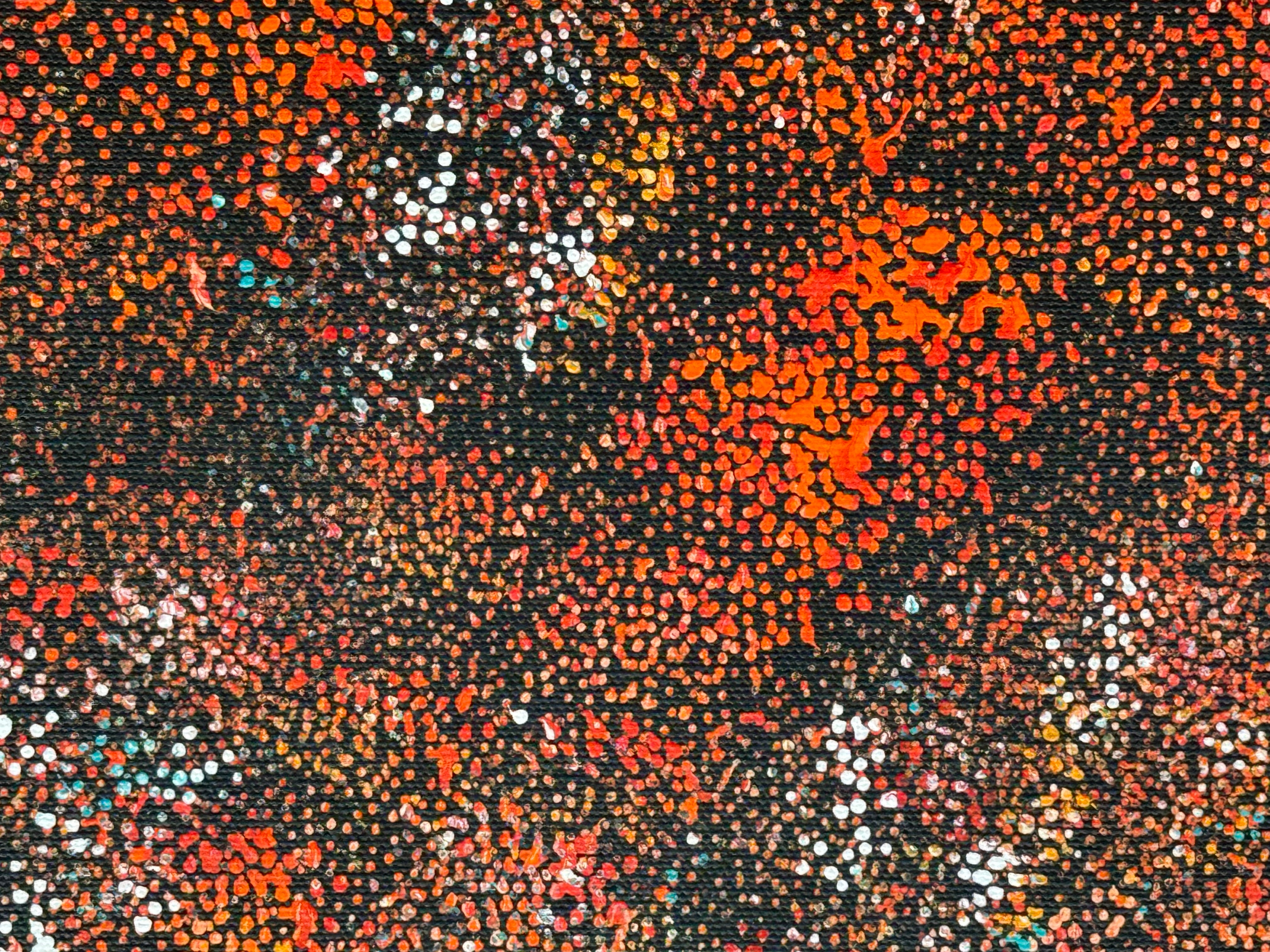 Lanita Numina - Thorny Lizard Changing Colours .97-5