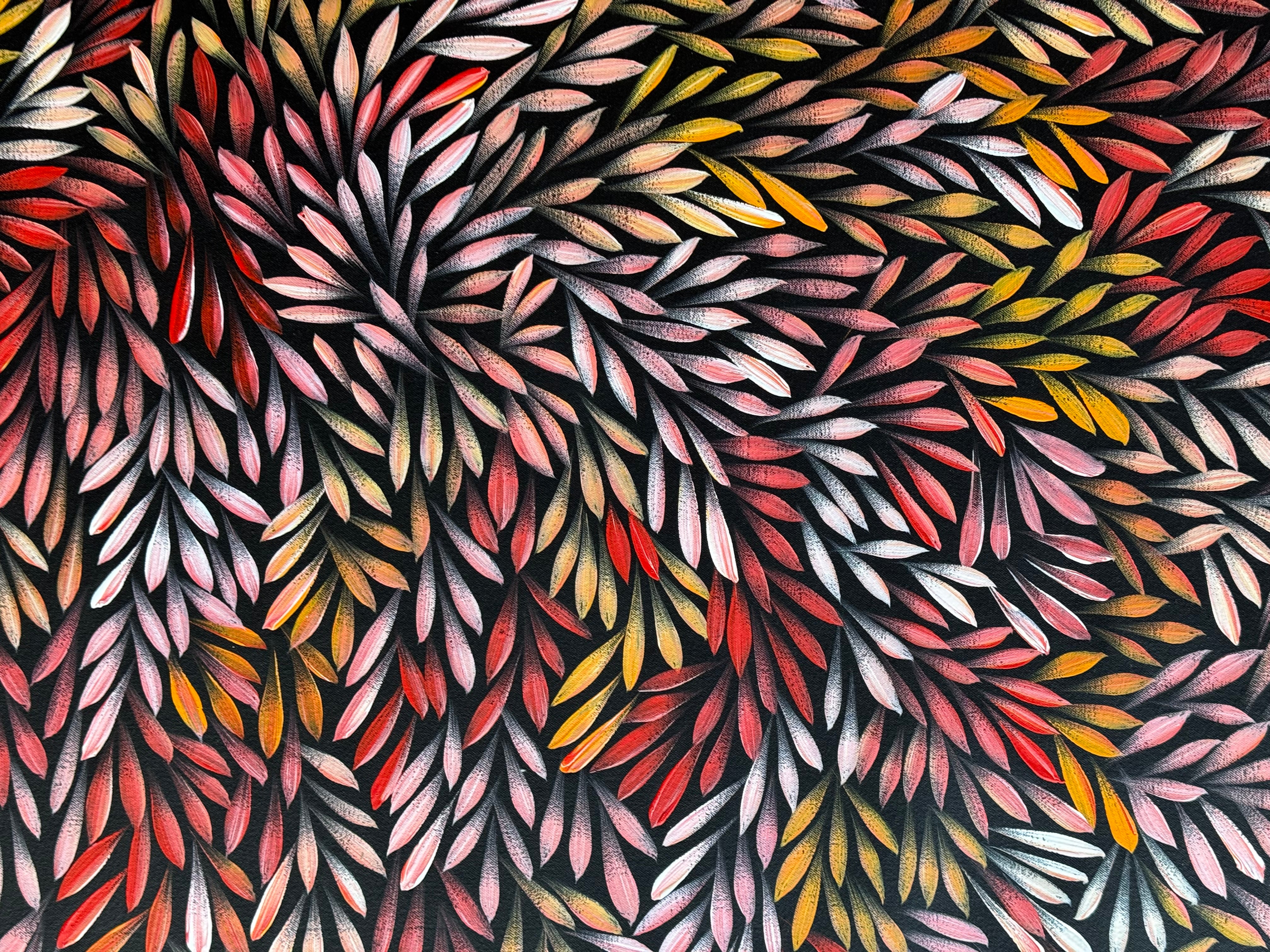 Sharon Numina - Bush Medicine Leaves .14-3