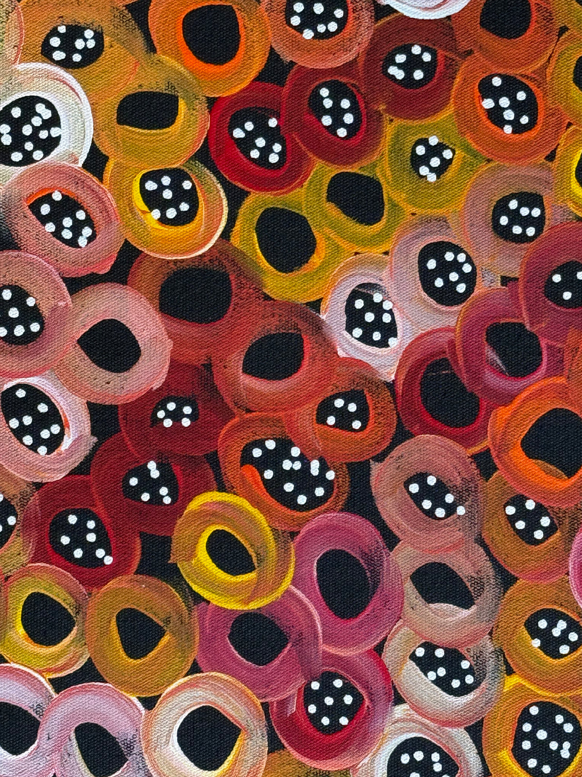 Selina Numina Kamprina - Bush Melons .44-21