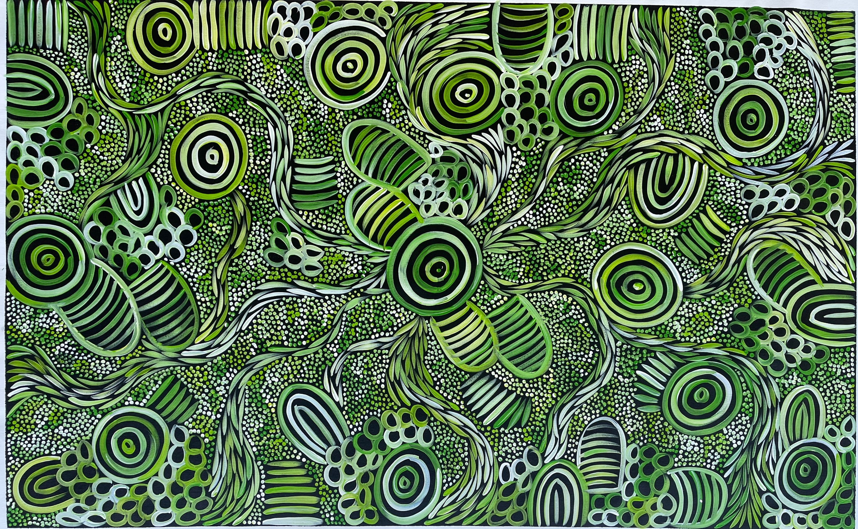 Sharon Numina - My Country Dreaming Bush Medicine and Bush Melon - 147x91cm .80-1