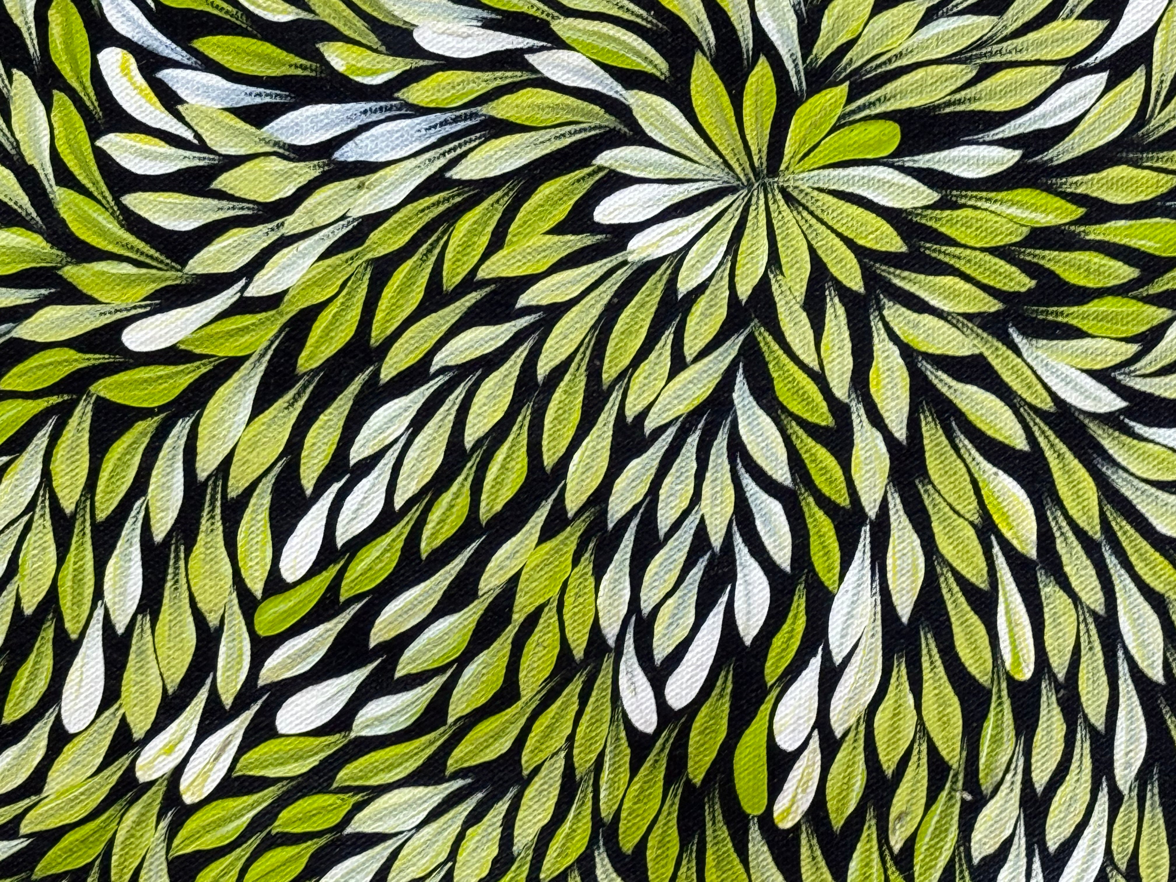 Sharon Turner - Bush Medicine Leaves .07-5