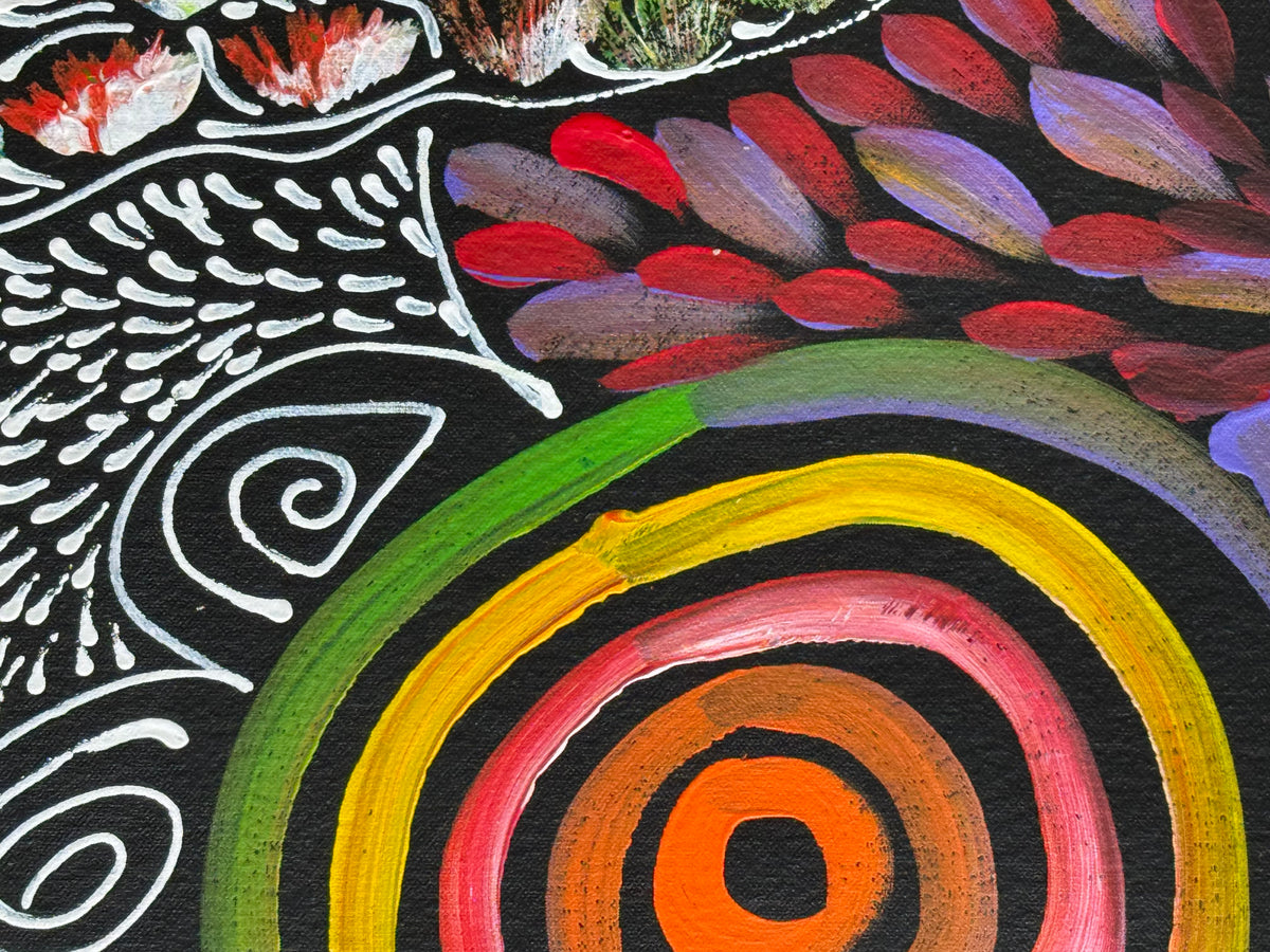 Louise Numina Napananka - Dreamtime .28-12