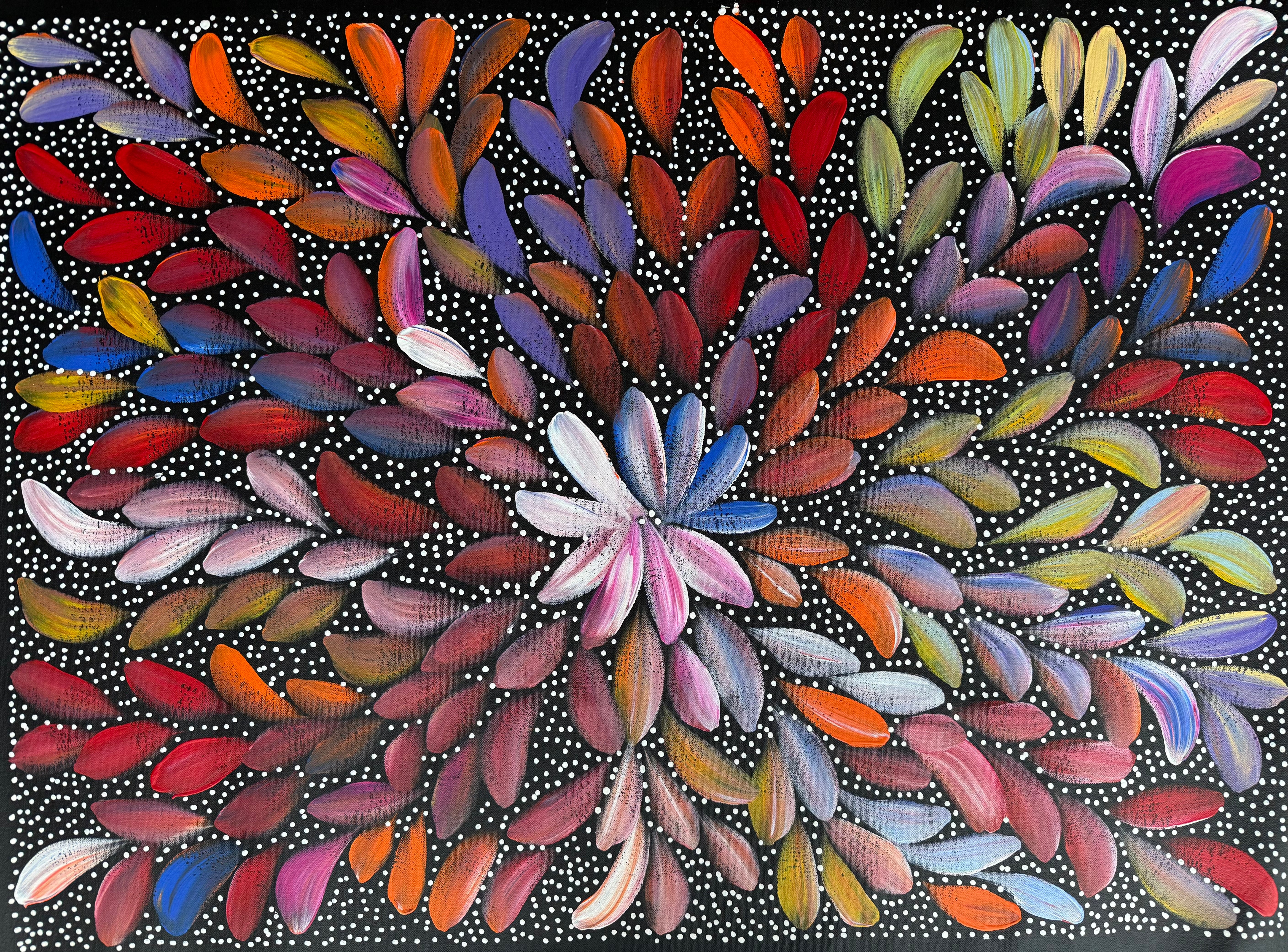 Louise Numina Napananka - Bush Medicine Leaves and Seeds .29-8