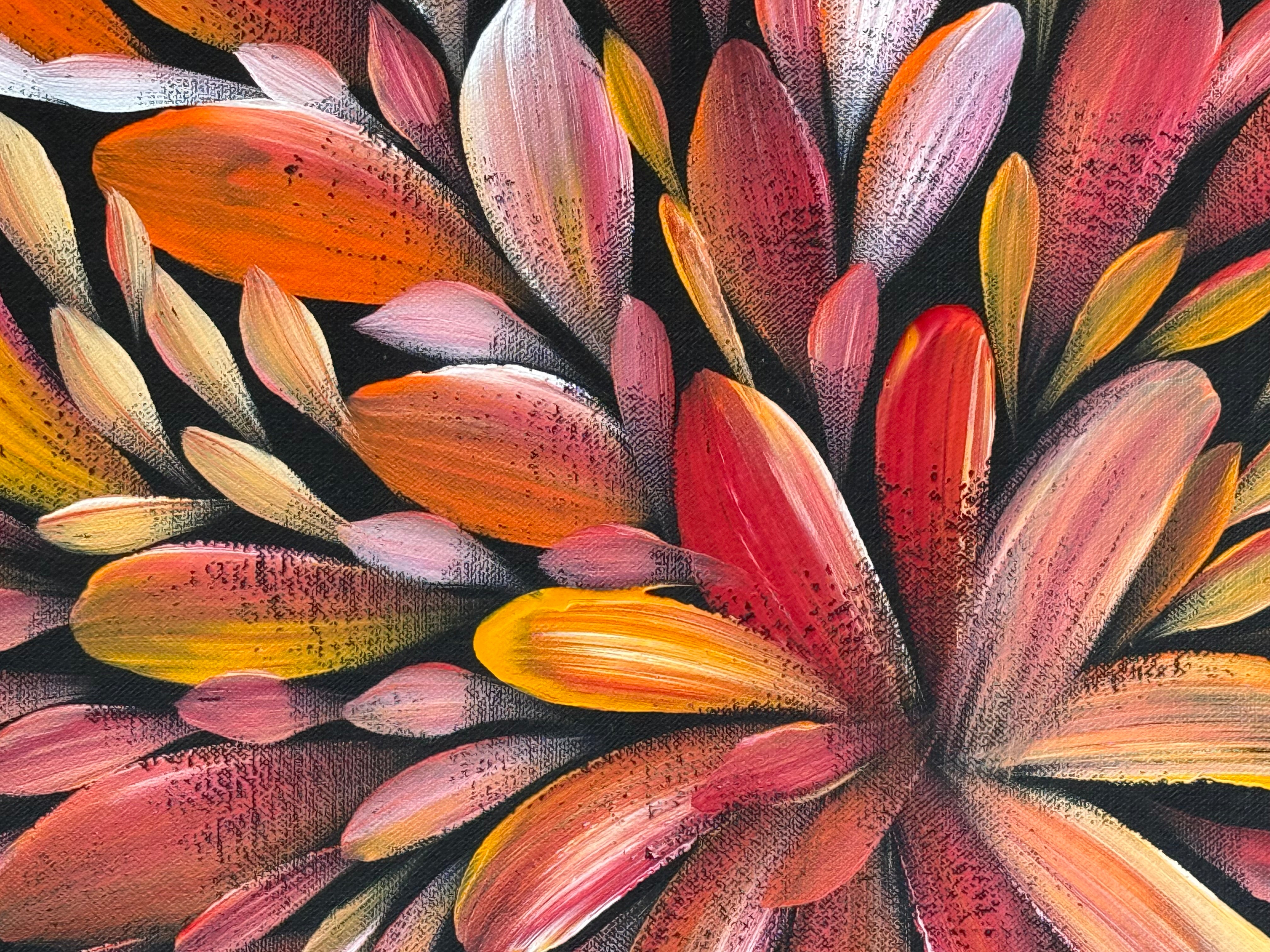 Louise Numina Napananka - Bush Medicine Leaves .57-50