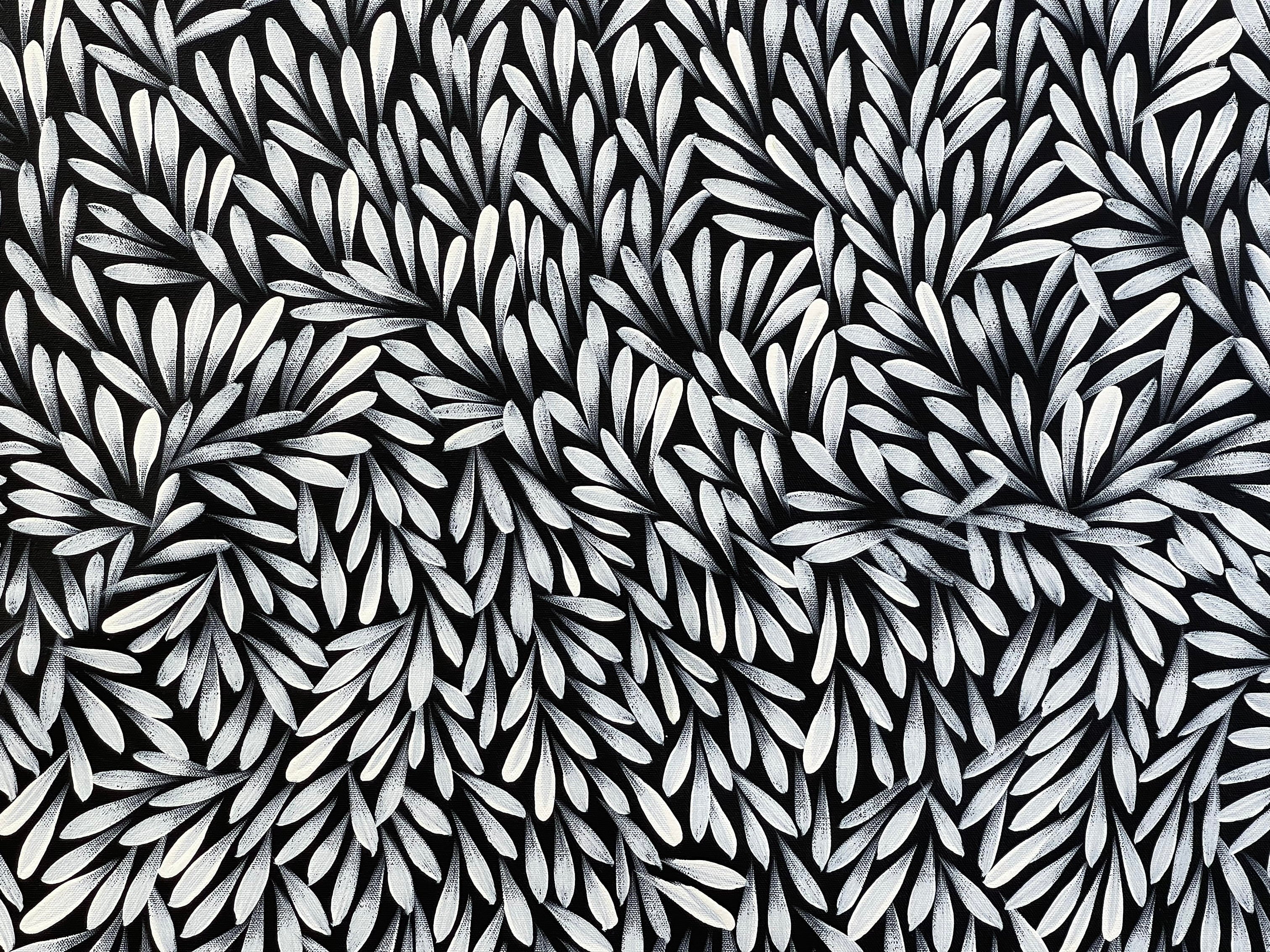 Sharon Numina - Bush Medicine Leaves - 143x66 .28-23