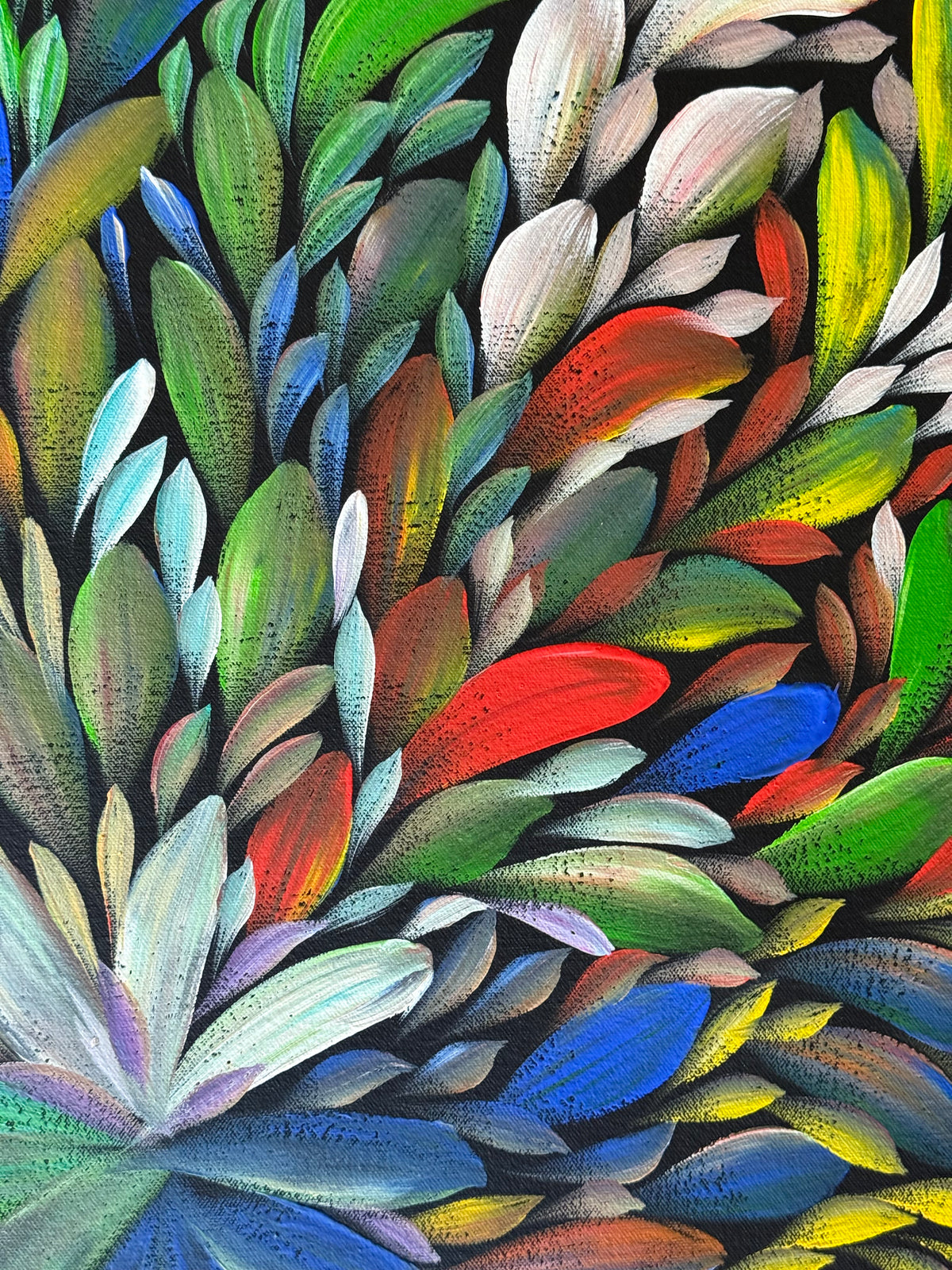 Louise Numina Napananka - Bush Medicine Leaves .36-27