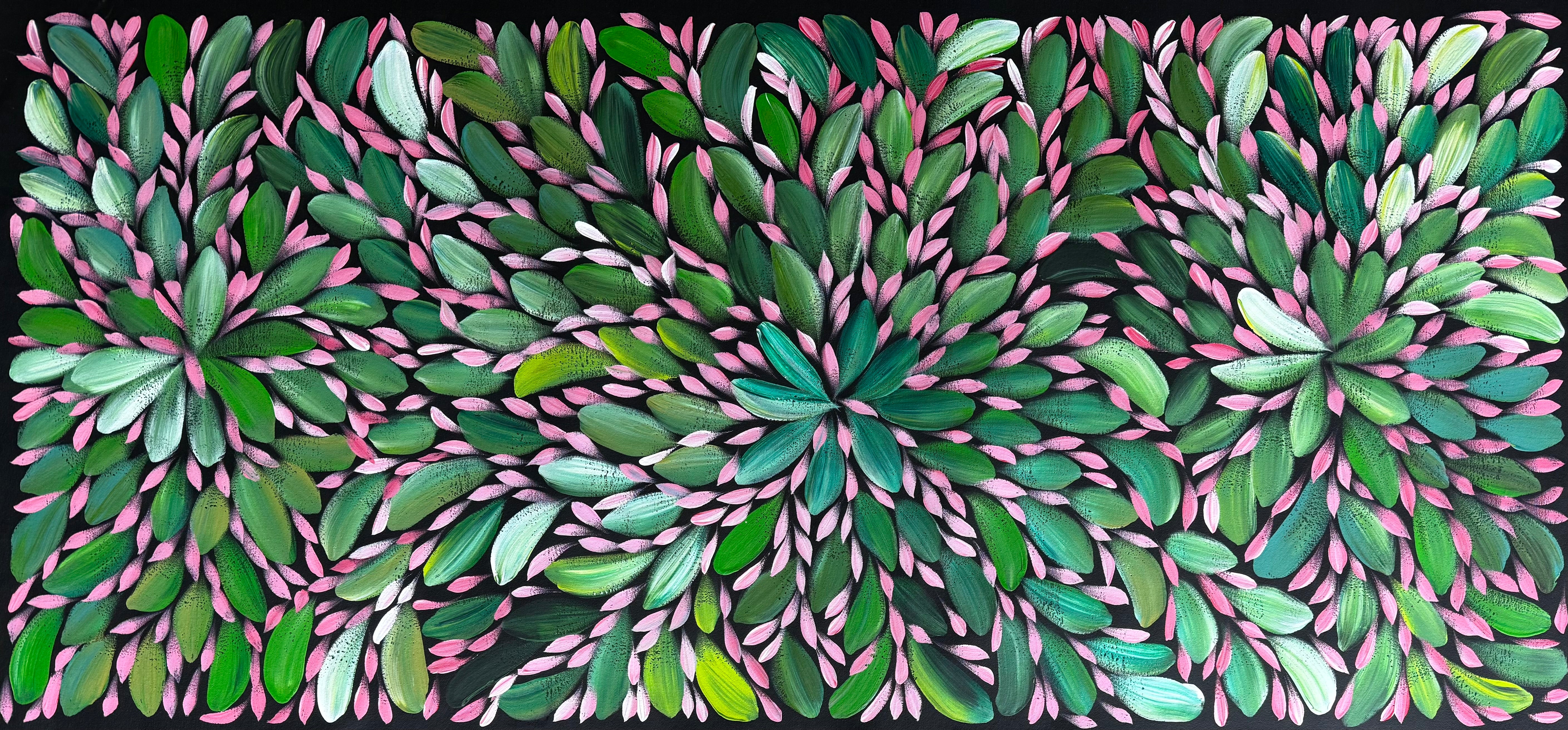Louise Numina Napananka - Bush Medicine Leaves .43-12