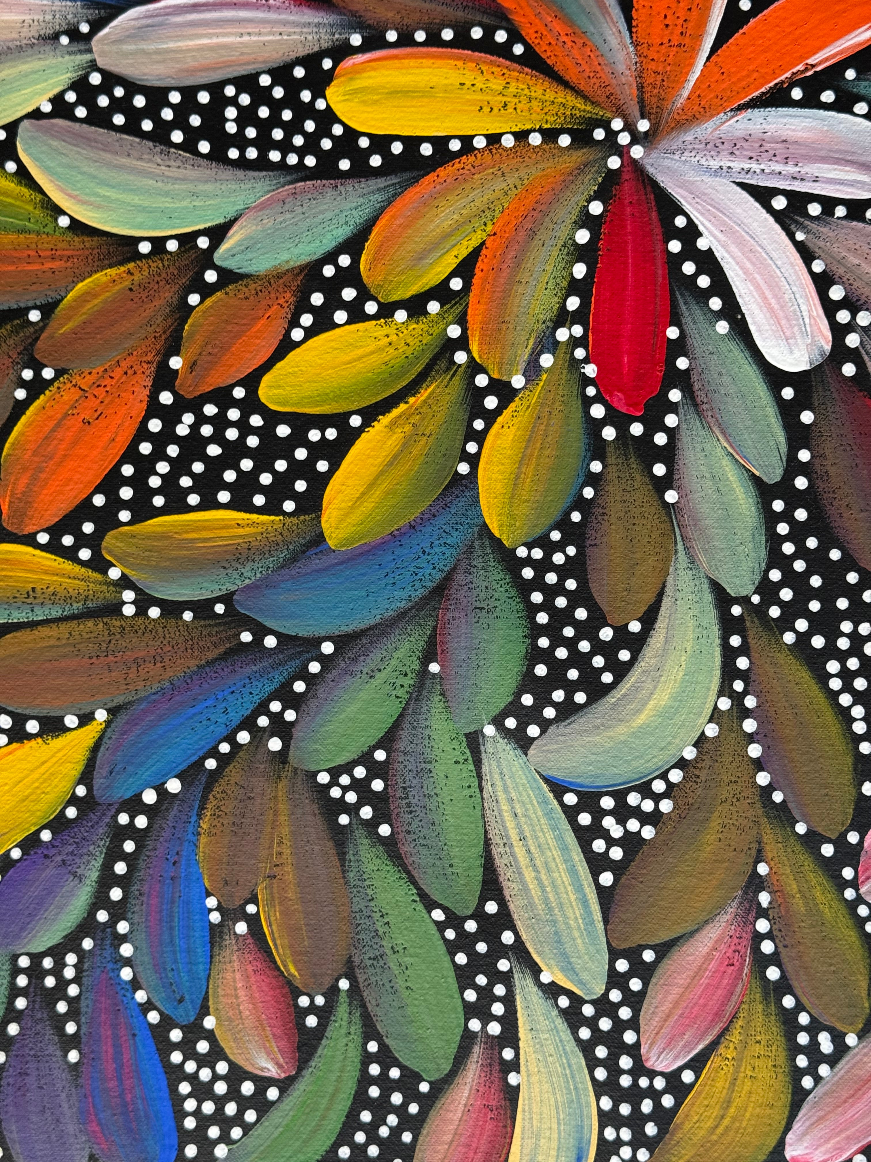 Louise Numina Napananka - Bush Medicine Leaves and Seeds .16-53