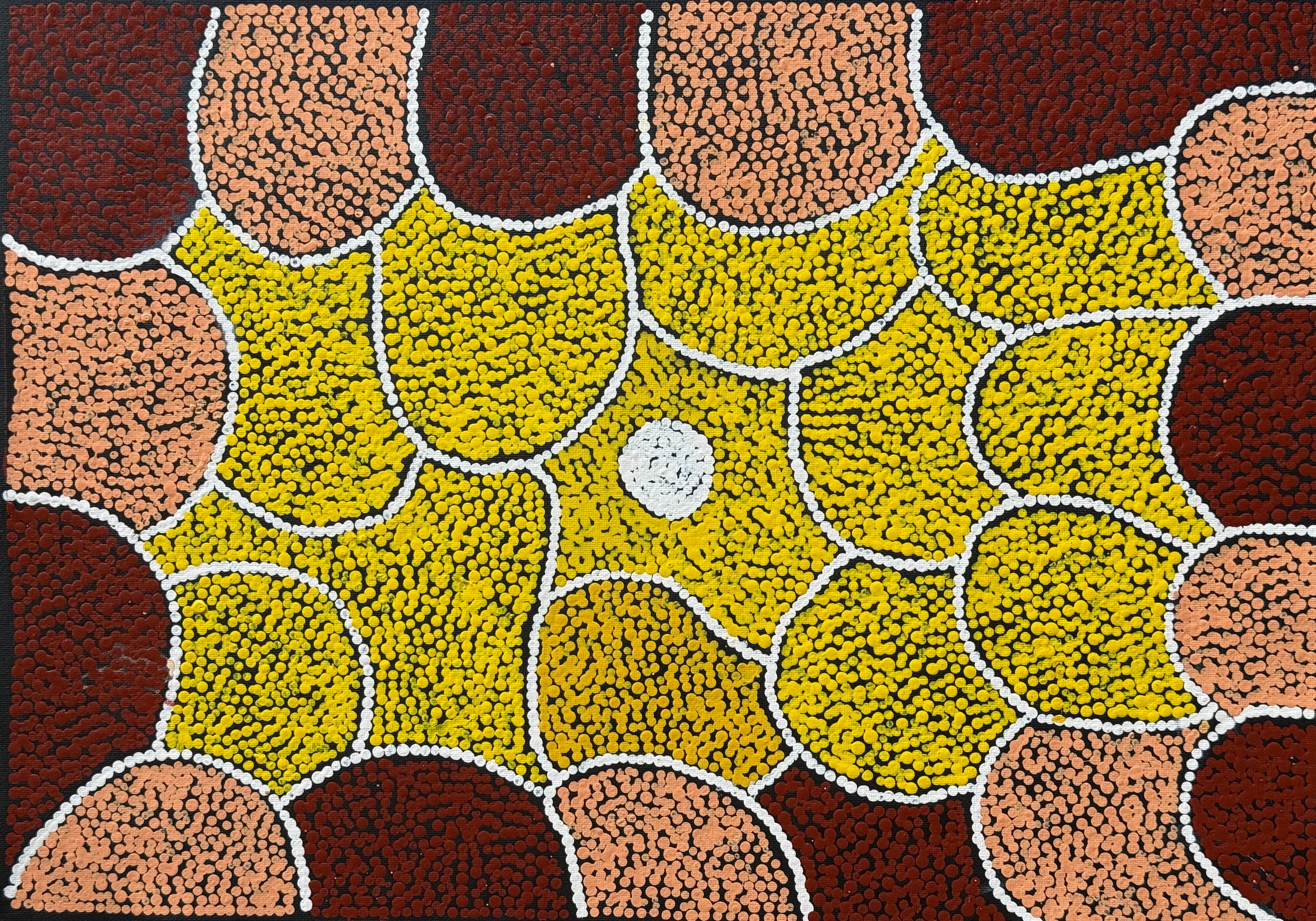 Aboriginal paintings in many sizes featuring women's ceremony