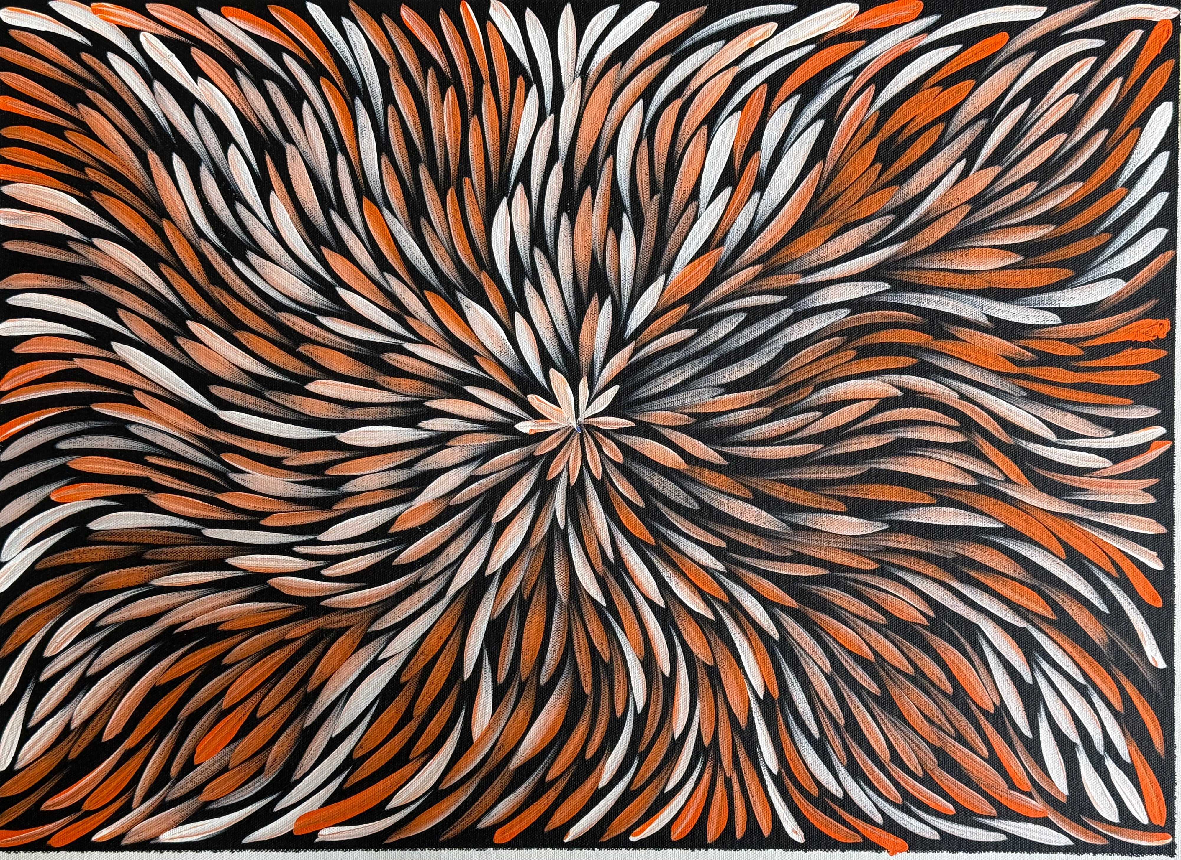 Sharon Numina - Bush Medicine Leaves .14-49