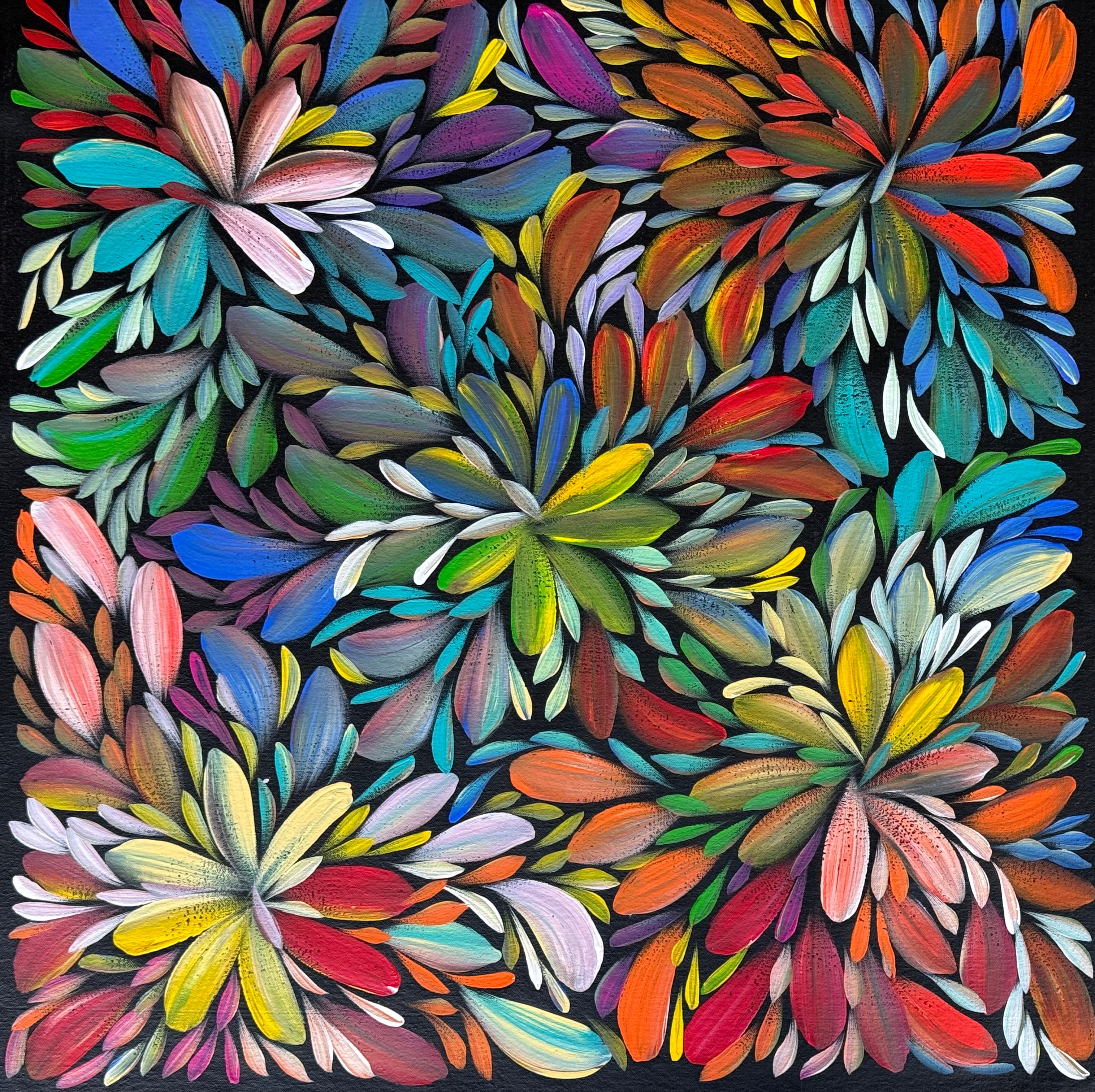 Louise Numina Napananka - Bush Medicine Flowers .16-65