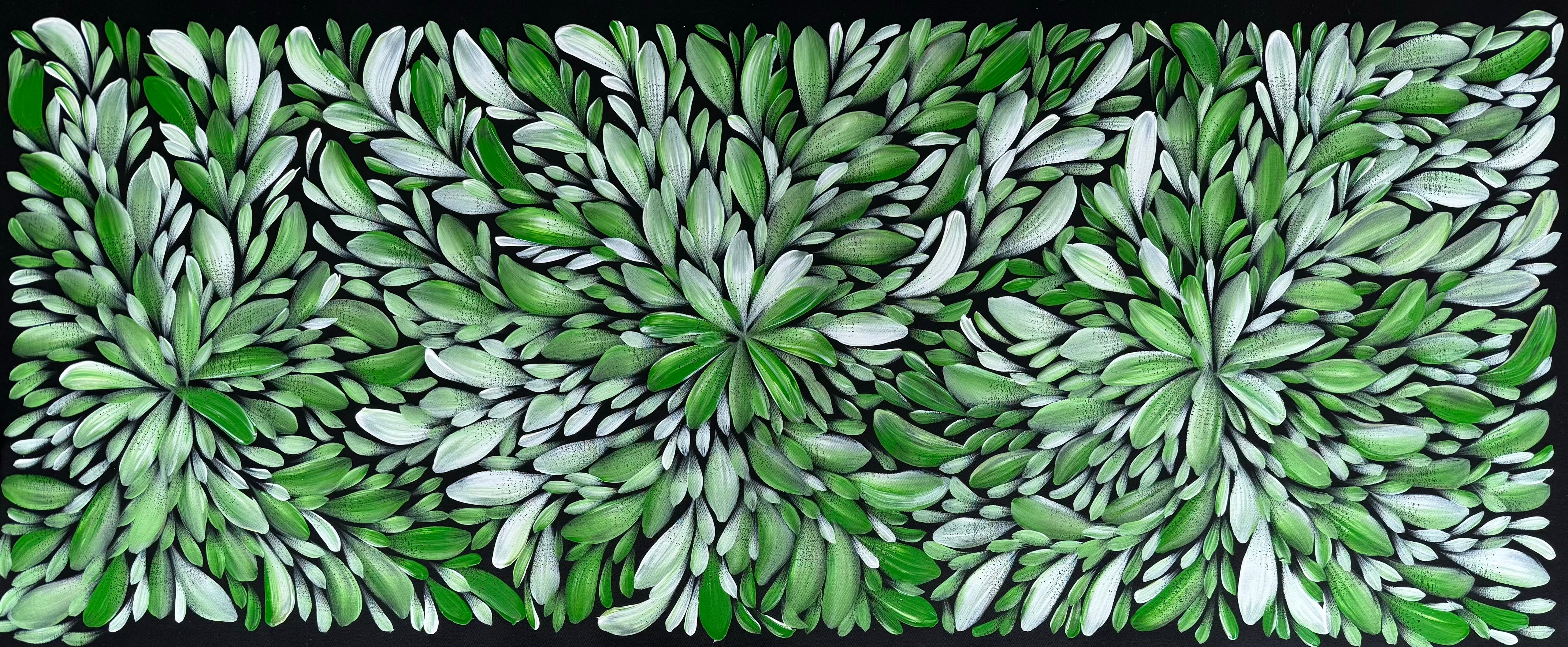 Louise Numina Napananka - Bush Medicine Leaves .57-55