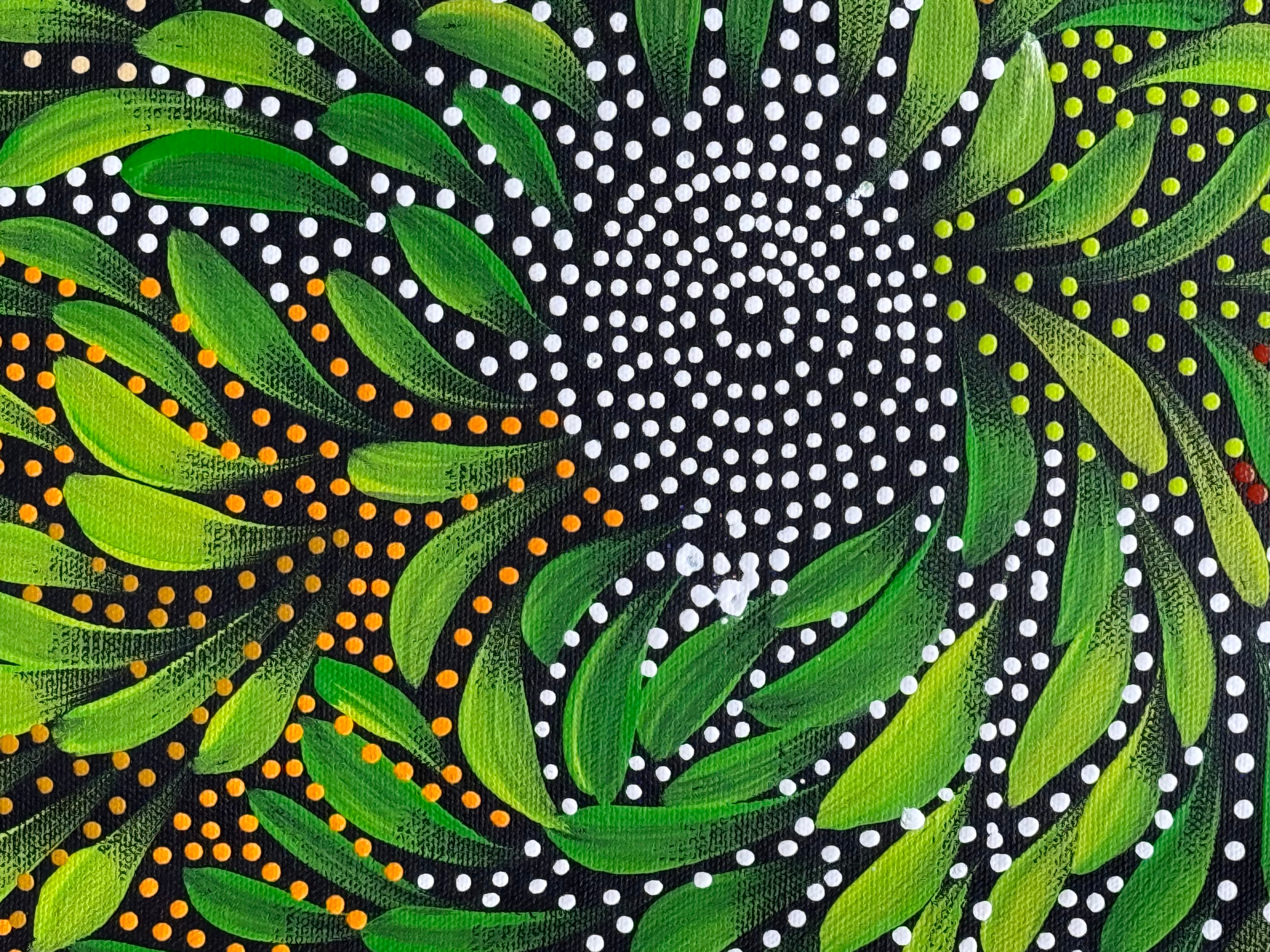 Caroline Numina - Bush Medicine Leaves with Seeds .91-4