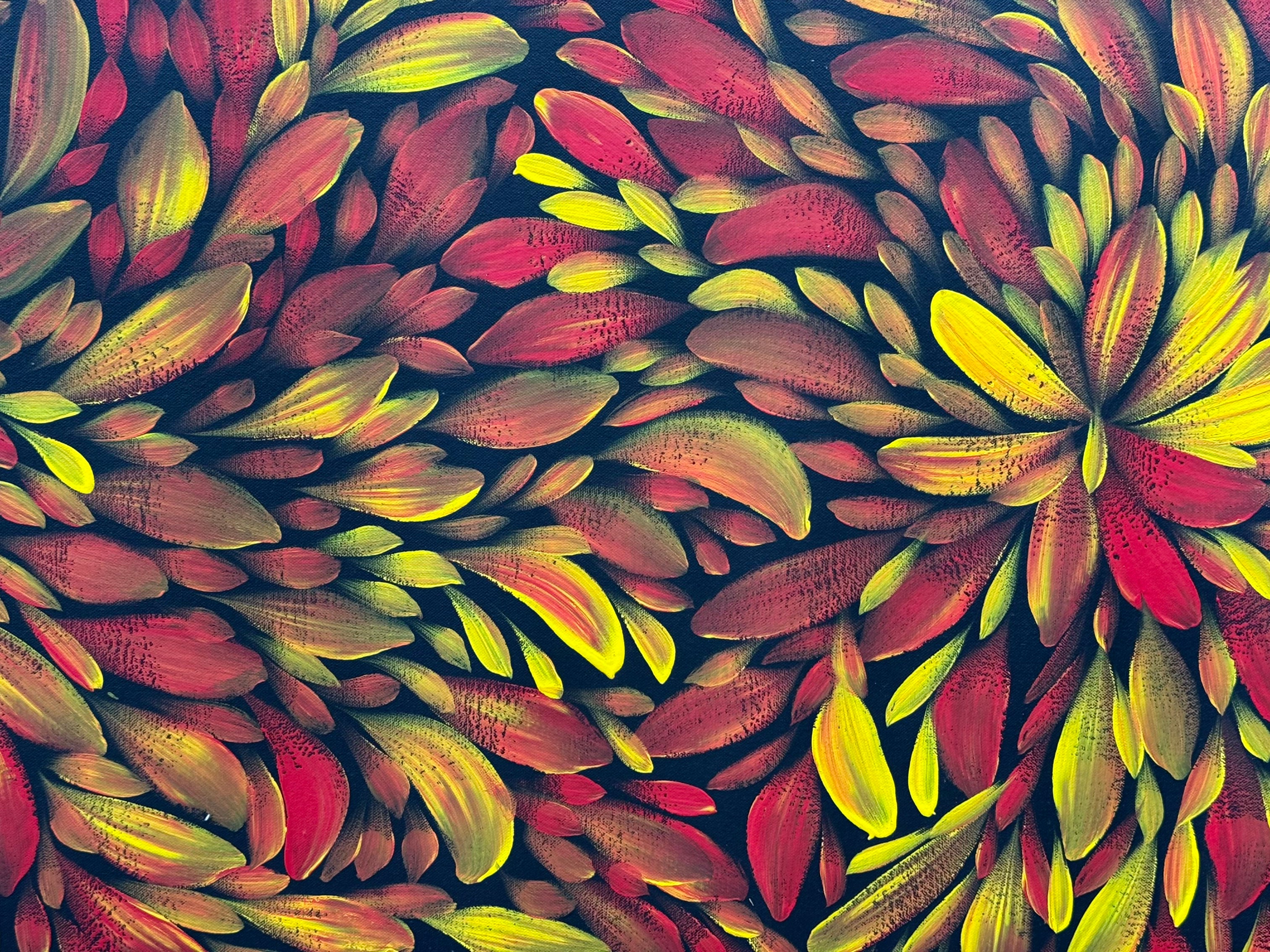 Louise Numina Napananka - Bush Medicine Leaves .57-56