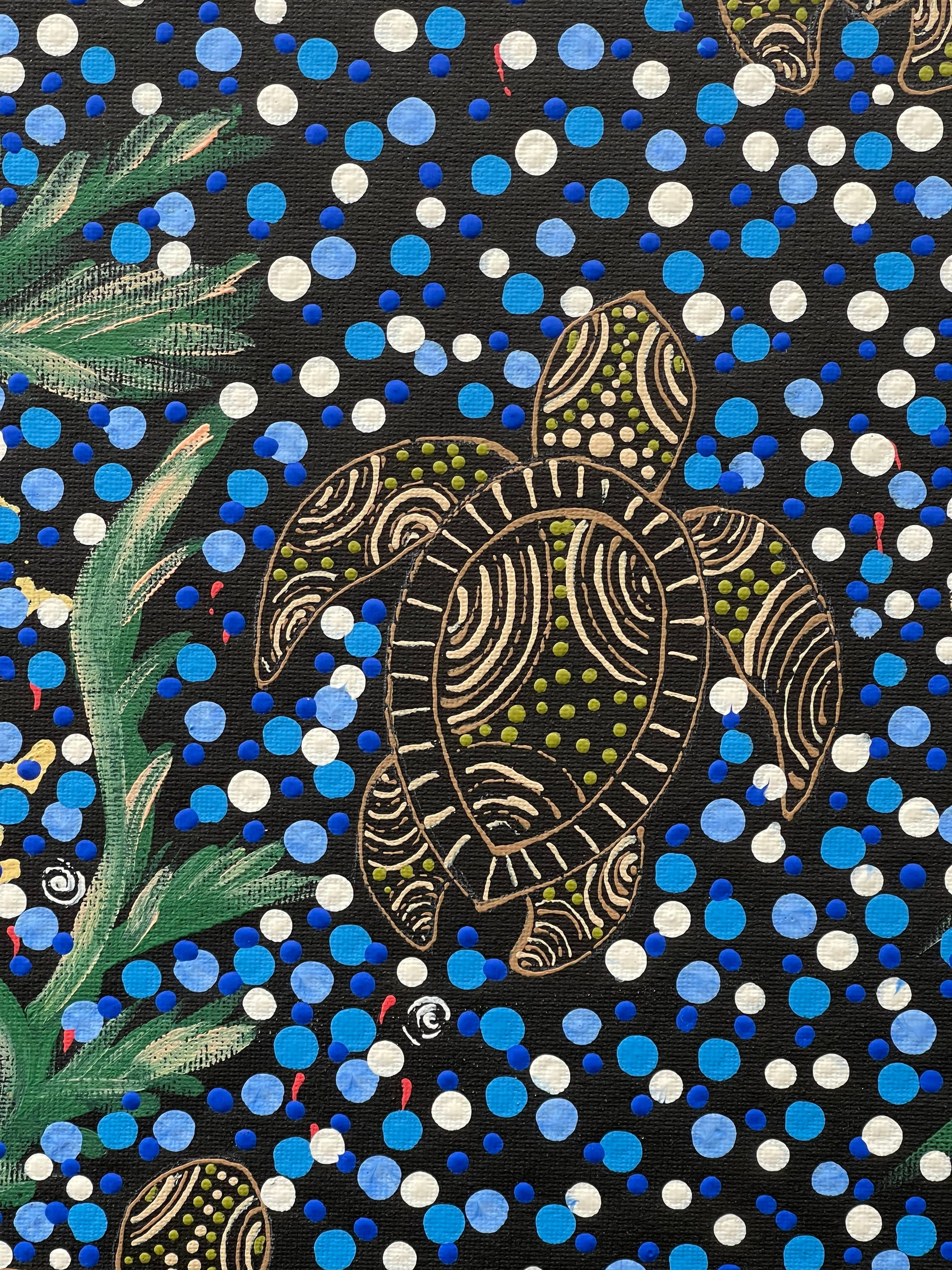 Deidre Burgoyne Rosier - Turtle Dreaming - 51x36cm .63-7