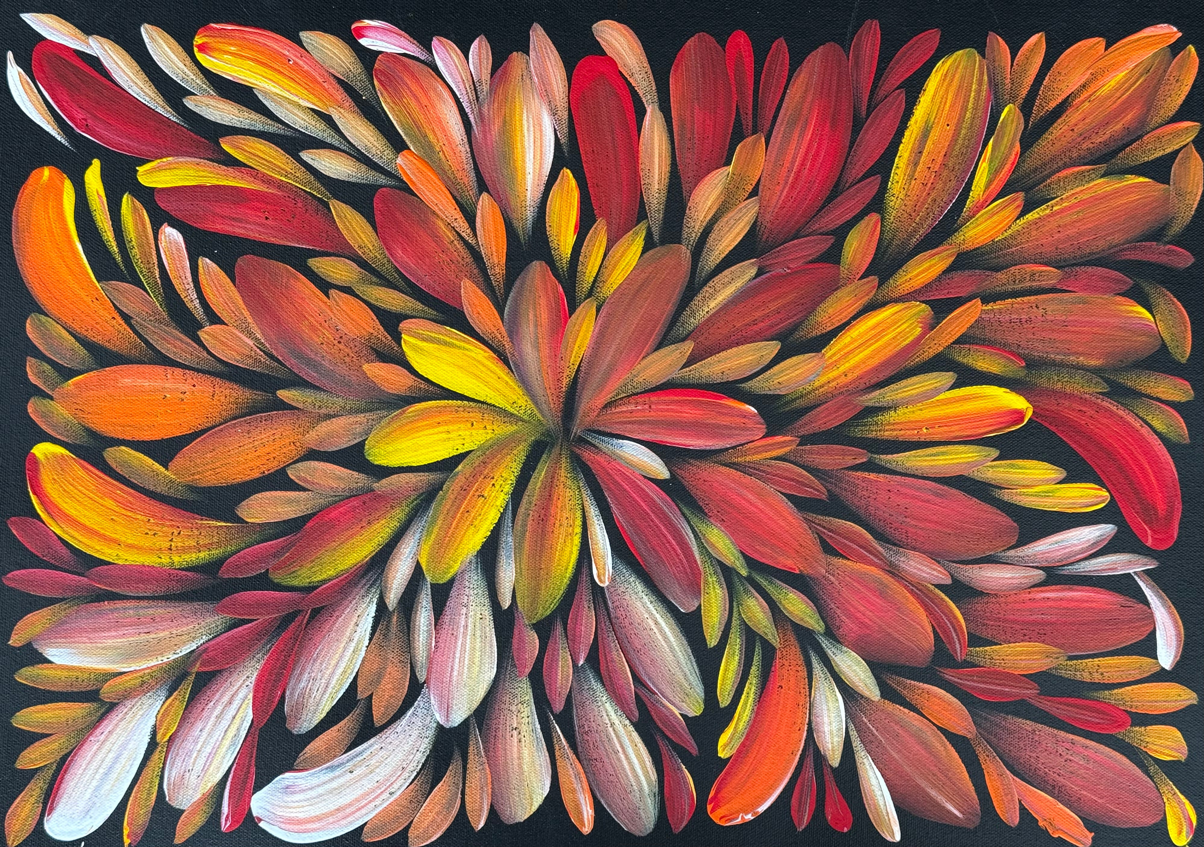 Louise Numina Napananka - Bush Medicine Leaves .60-21
