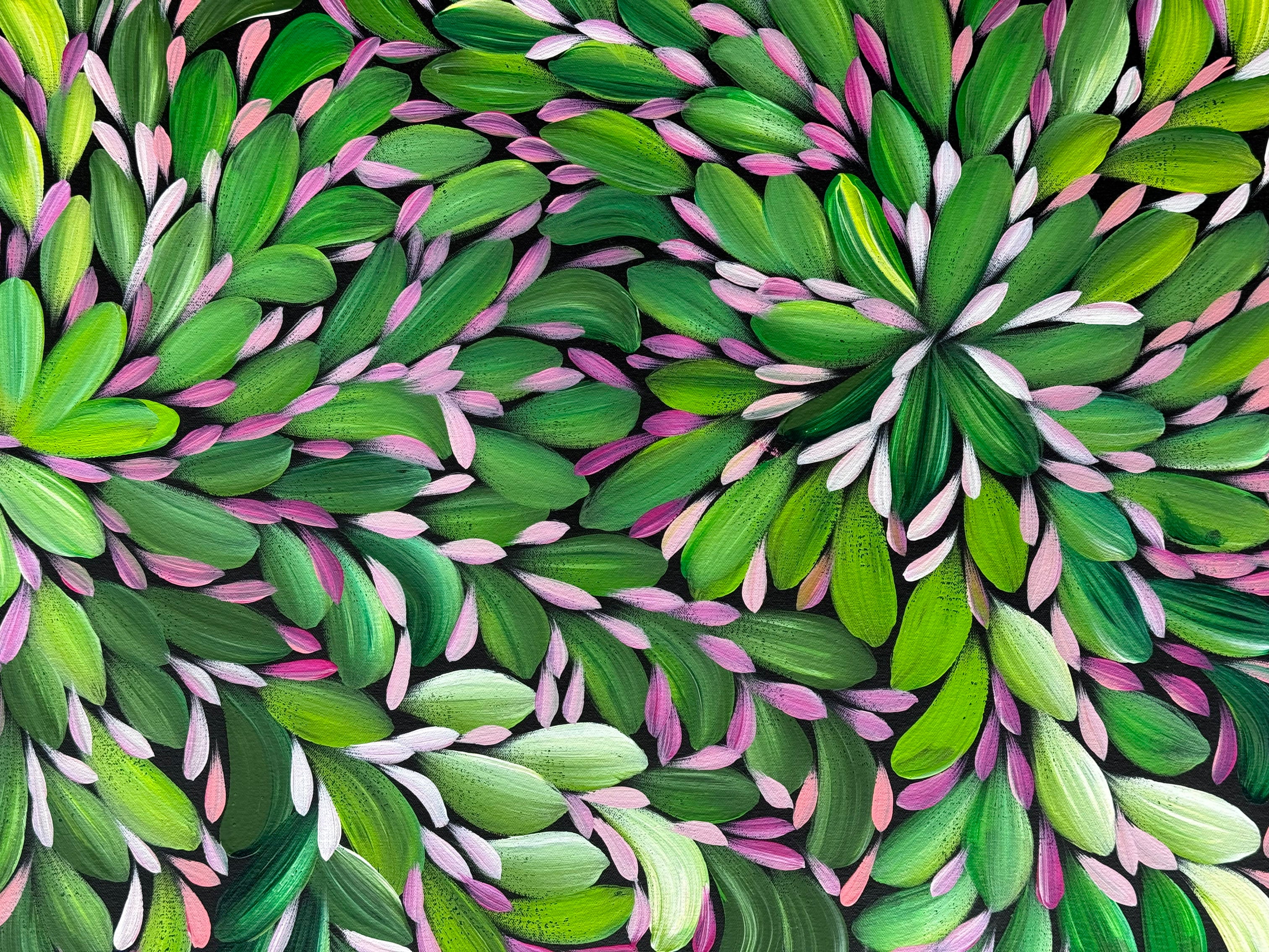 Louise Numina Napananka - Bush Medicine Leaves, Healing Leaves - 129x59cm .23-4