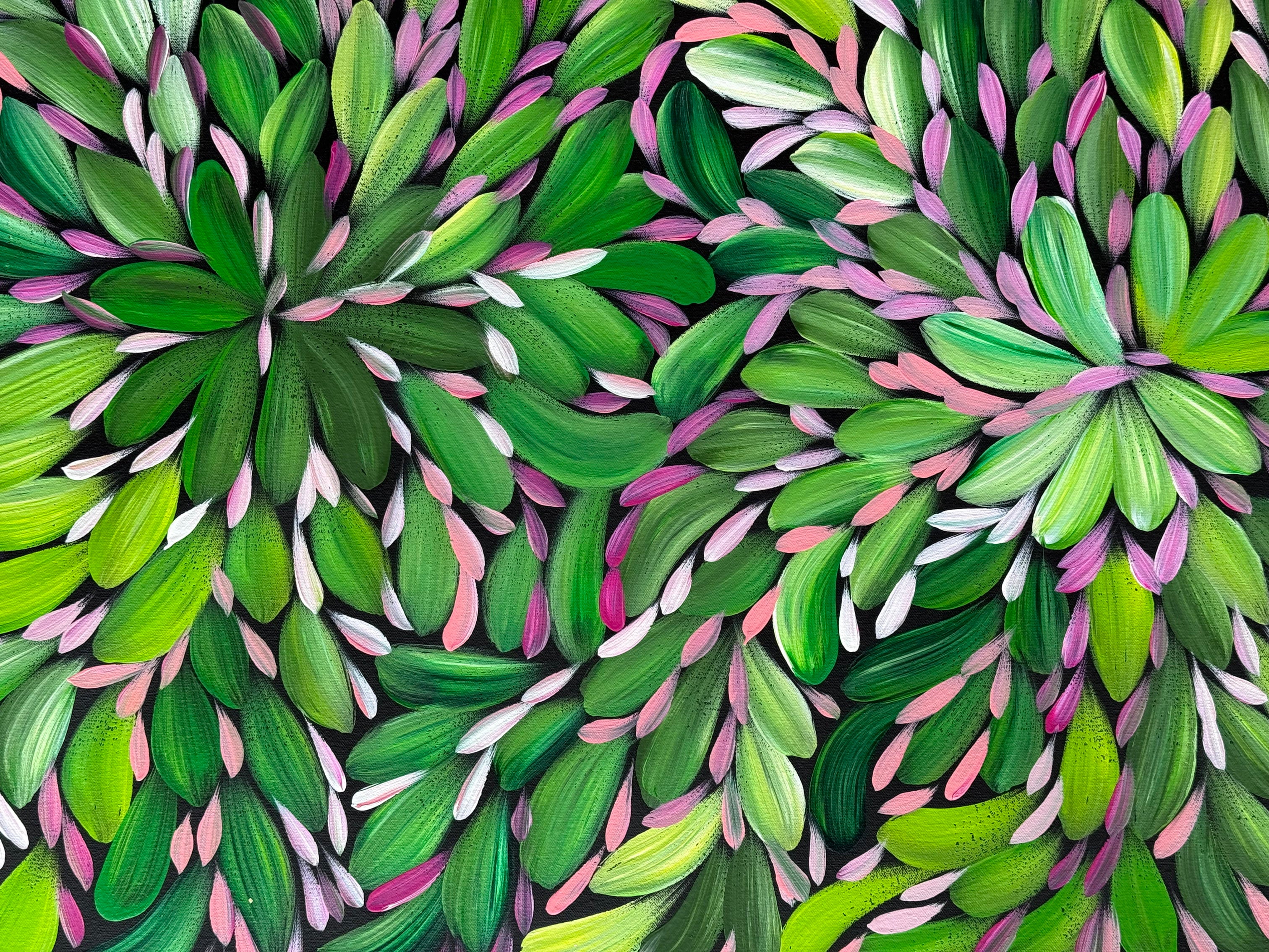 Louise Numina Napananka - Bush Medicine Leaves, Healing Leaves - 129x59cm .23-4