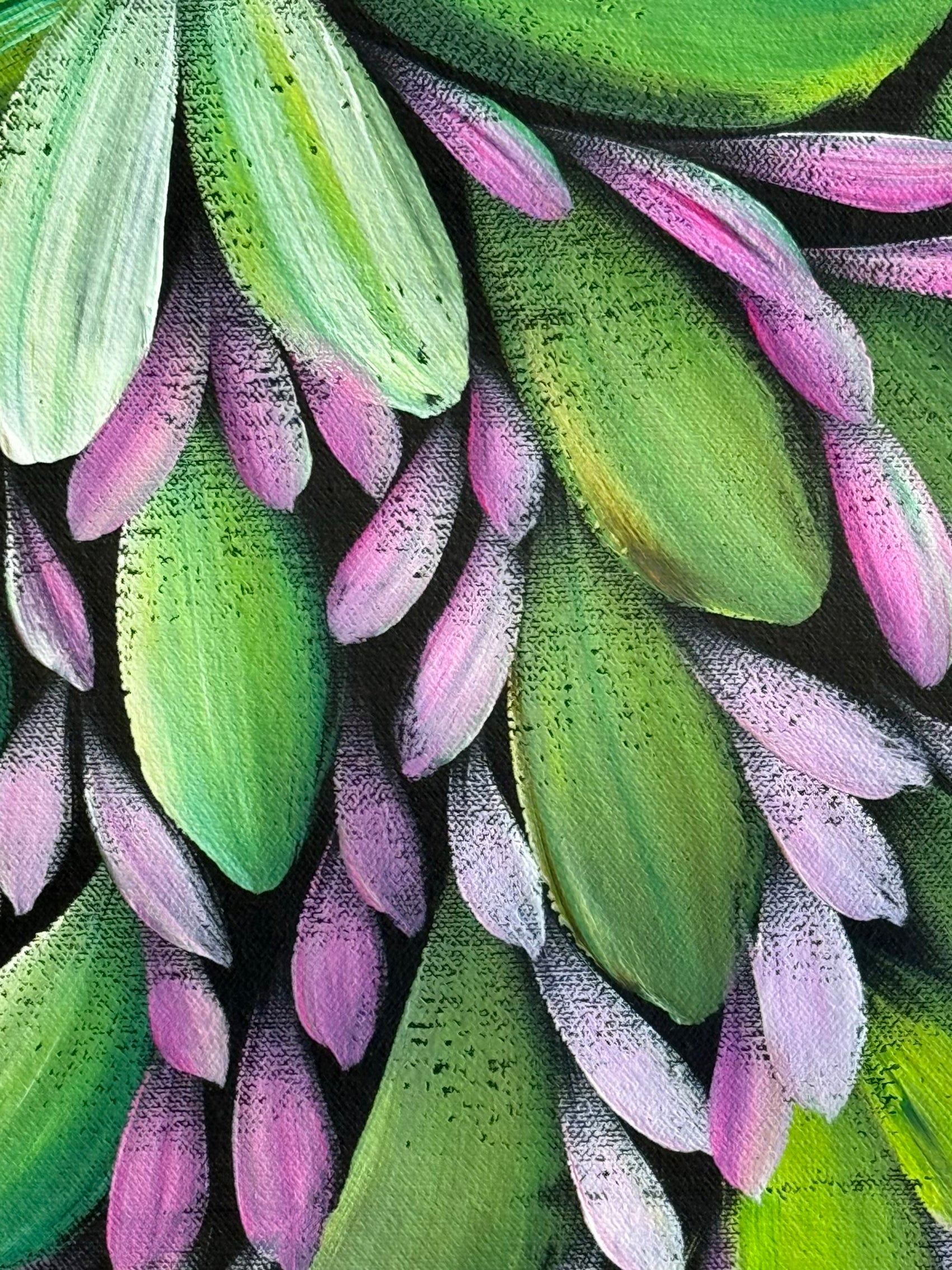Louise Numina Napananka - Bush Medicine Leaves  .49-11