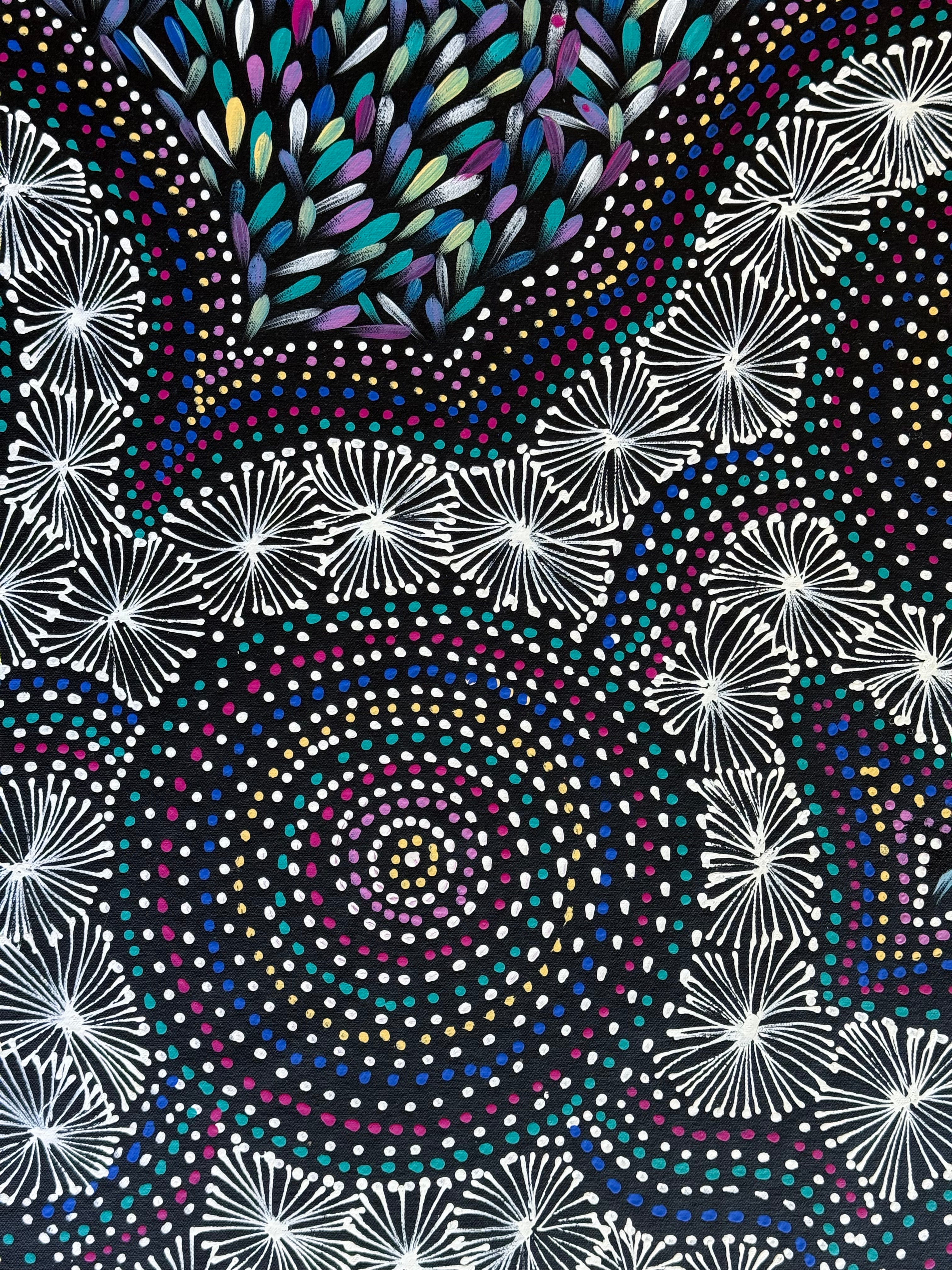 Selina Numina Kamprina - Seeds and Waterholes .92-17