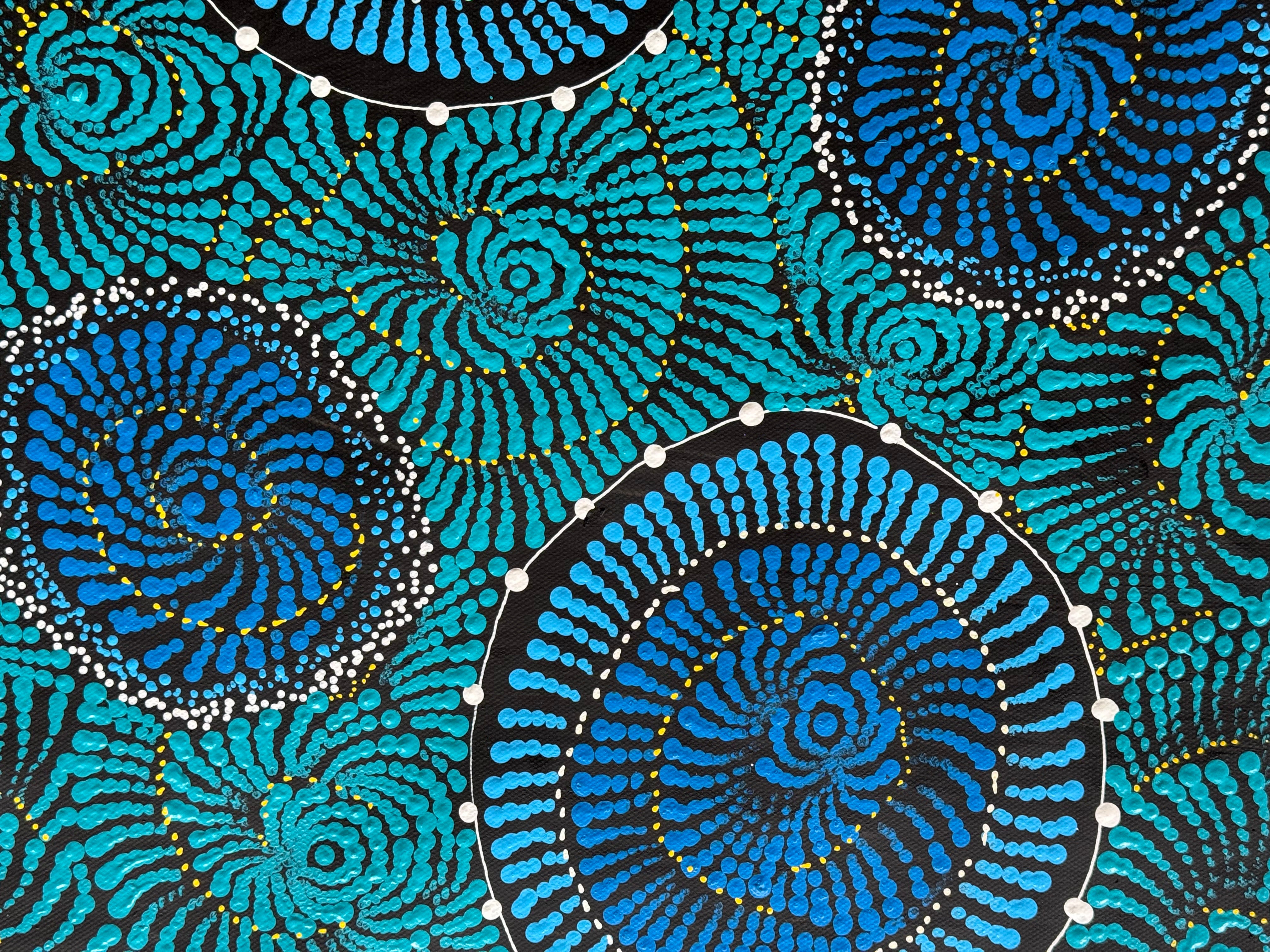 Maria Nampijinpa Brown - Flying Ants Dreaming (Pamapardu Jukurrpa) .78-5