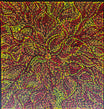 Sharon Turner - Bush Medicine Leaves .50-2