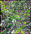 Louise Numina Napananka - Bush Medicine Leaves  .49-11