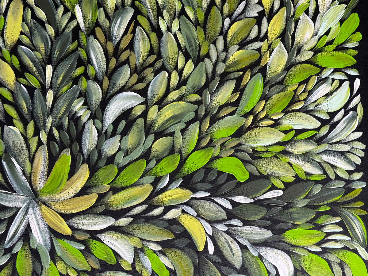 Louise Numina Napananka - Bush Medicine Leaves .22-25