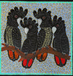 Kathleen Buzzacott - Redtail Black Cockatoos .17-16