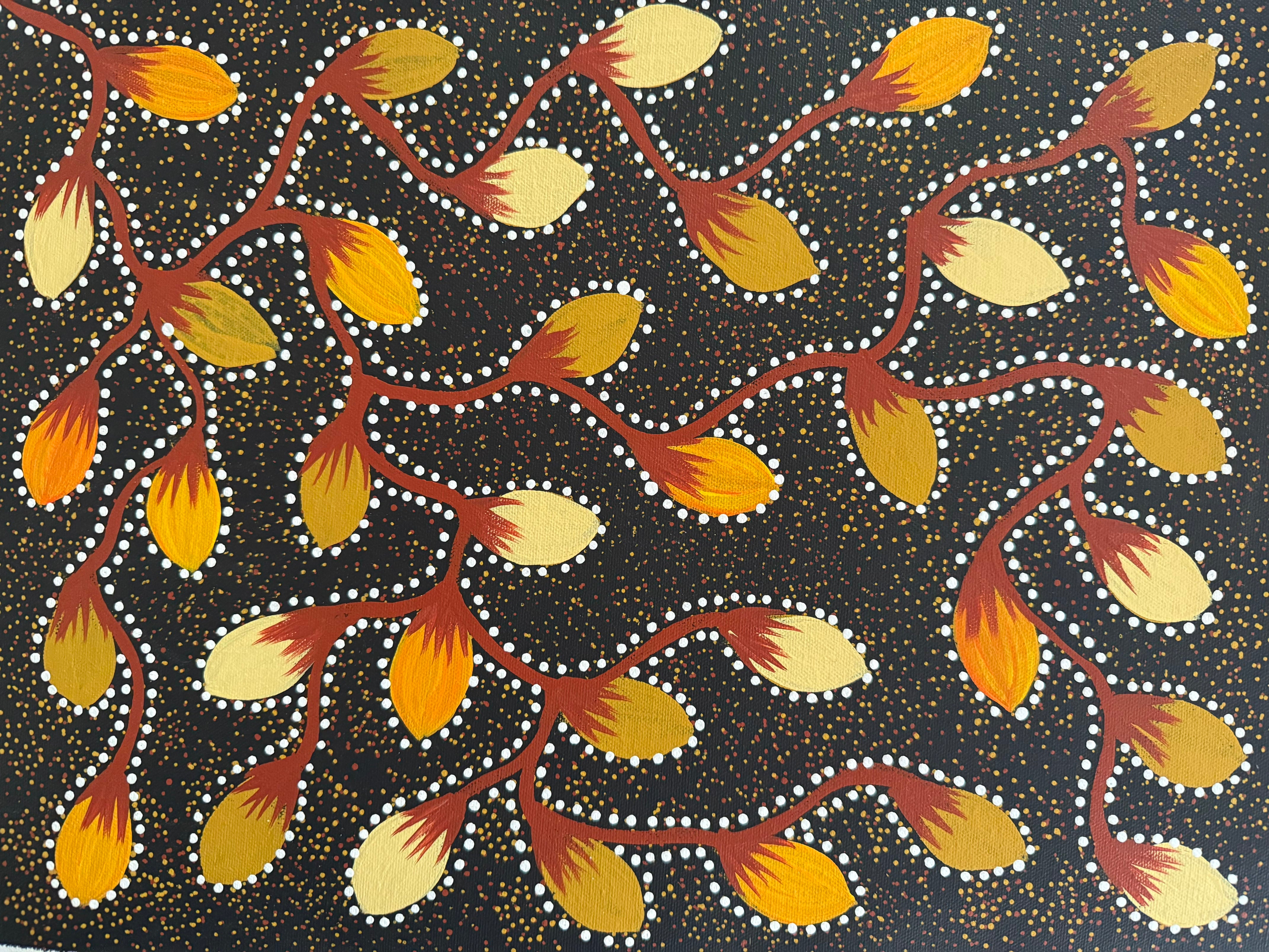 Jacinta Numina Waugh - Bush Plums - 43x33cm .12-16