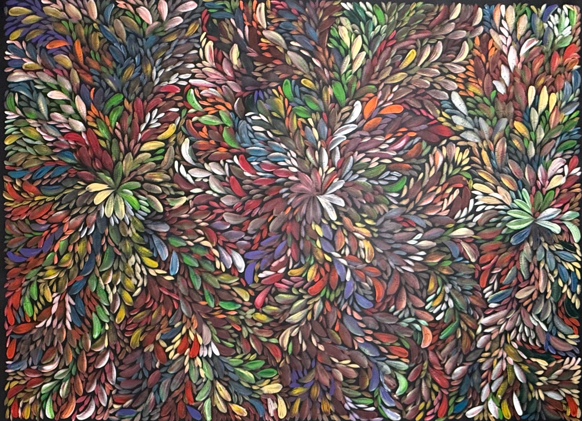 Louise Numina Napananka - Bush Medicine Leaves .29-1
