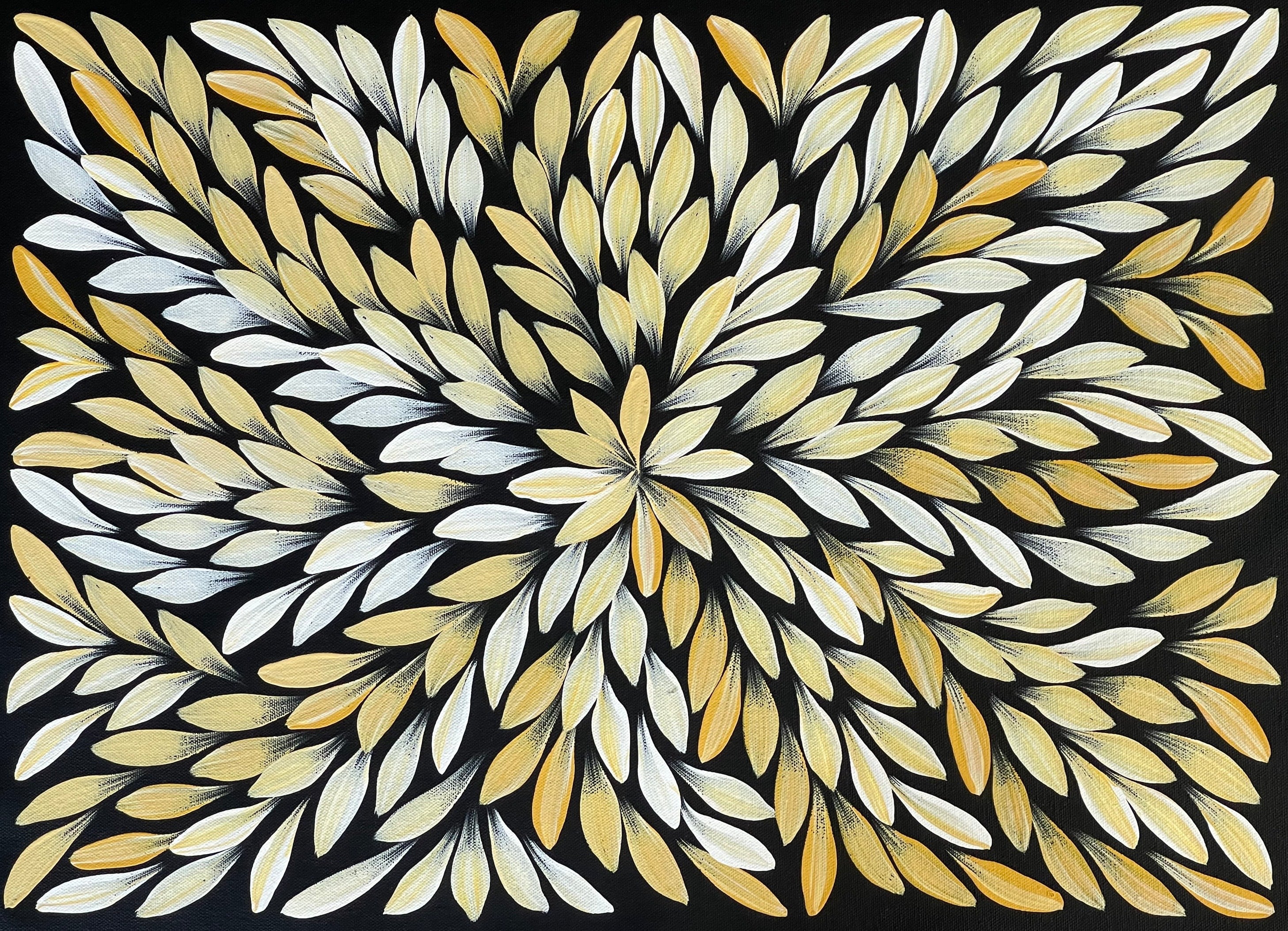 Jacinta Numina Waugh - Bush Medicine Leaves - 38x53cm .75-37