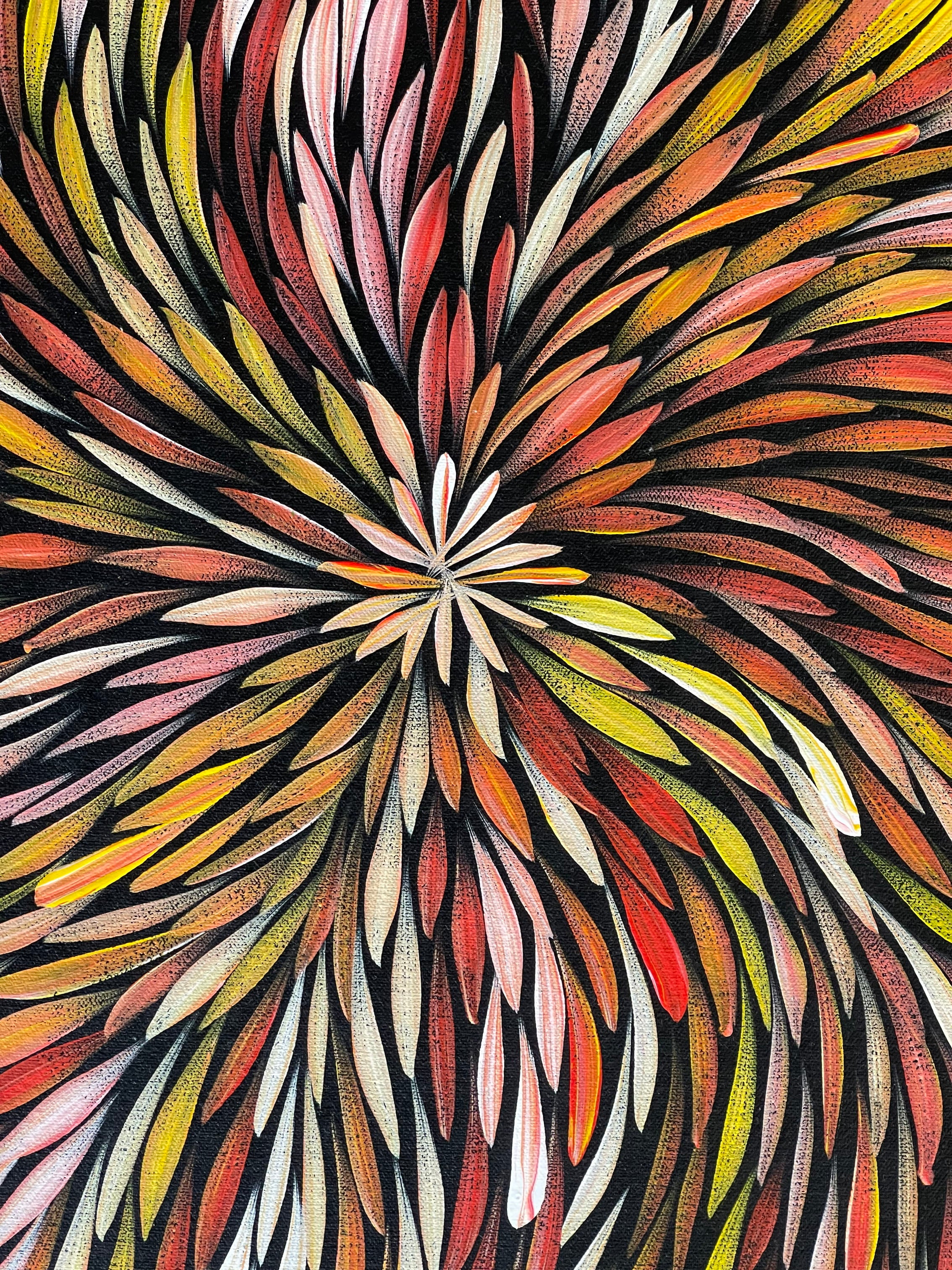 Sharon Numina - Bush Medicine Leaves - 59x60cm .92-6