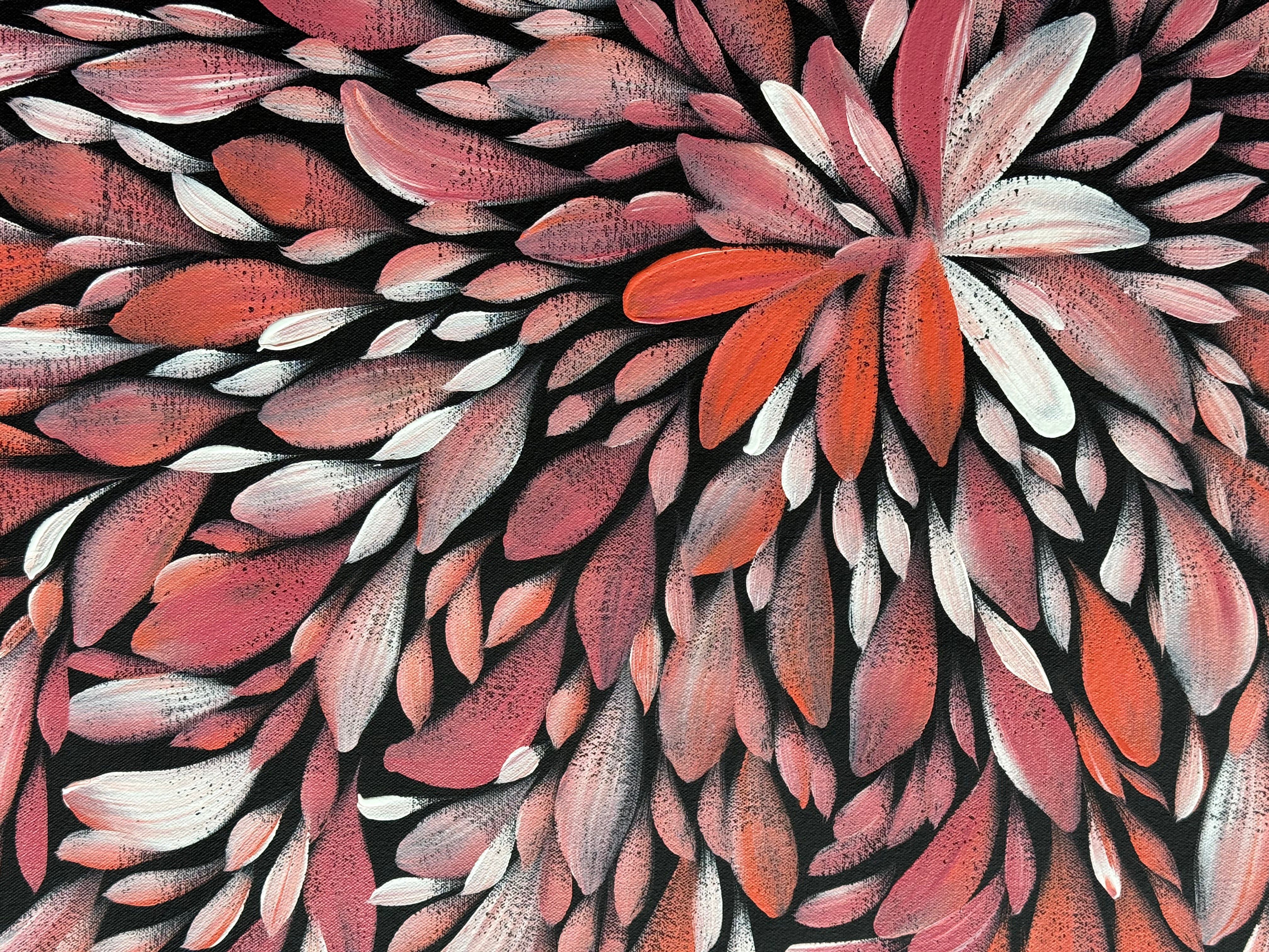 Louise Numina Napananka - Bush Medicine Leaves .30-11