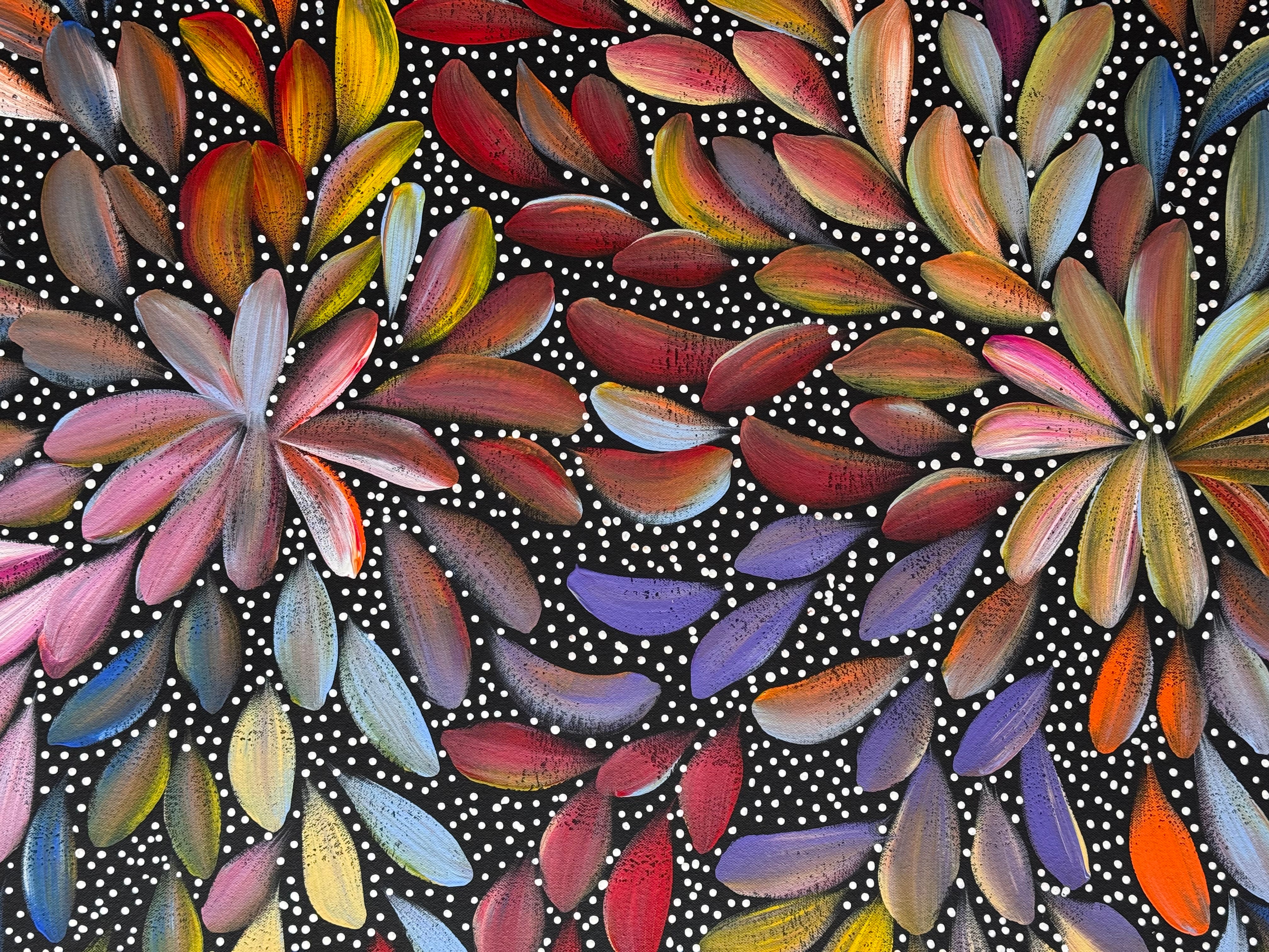 Louise Numina Napananka - Bush Medicine Leaves and Seeds .29-6