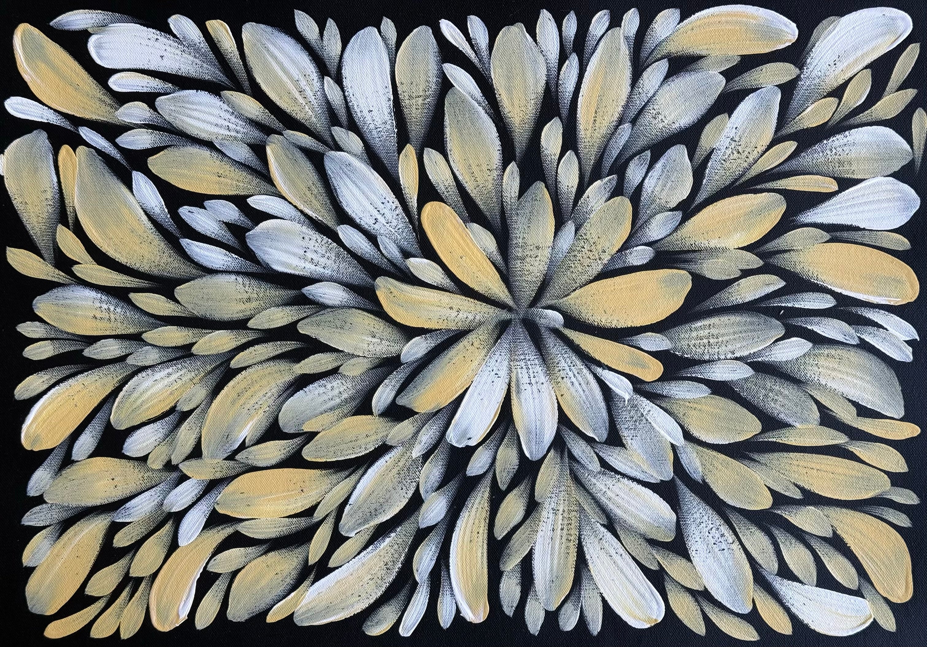 Louise Numina Napananka - Bush Medicine Leaves .57-73
