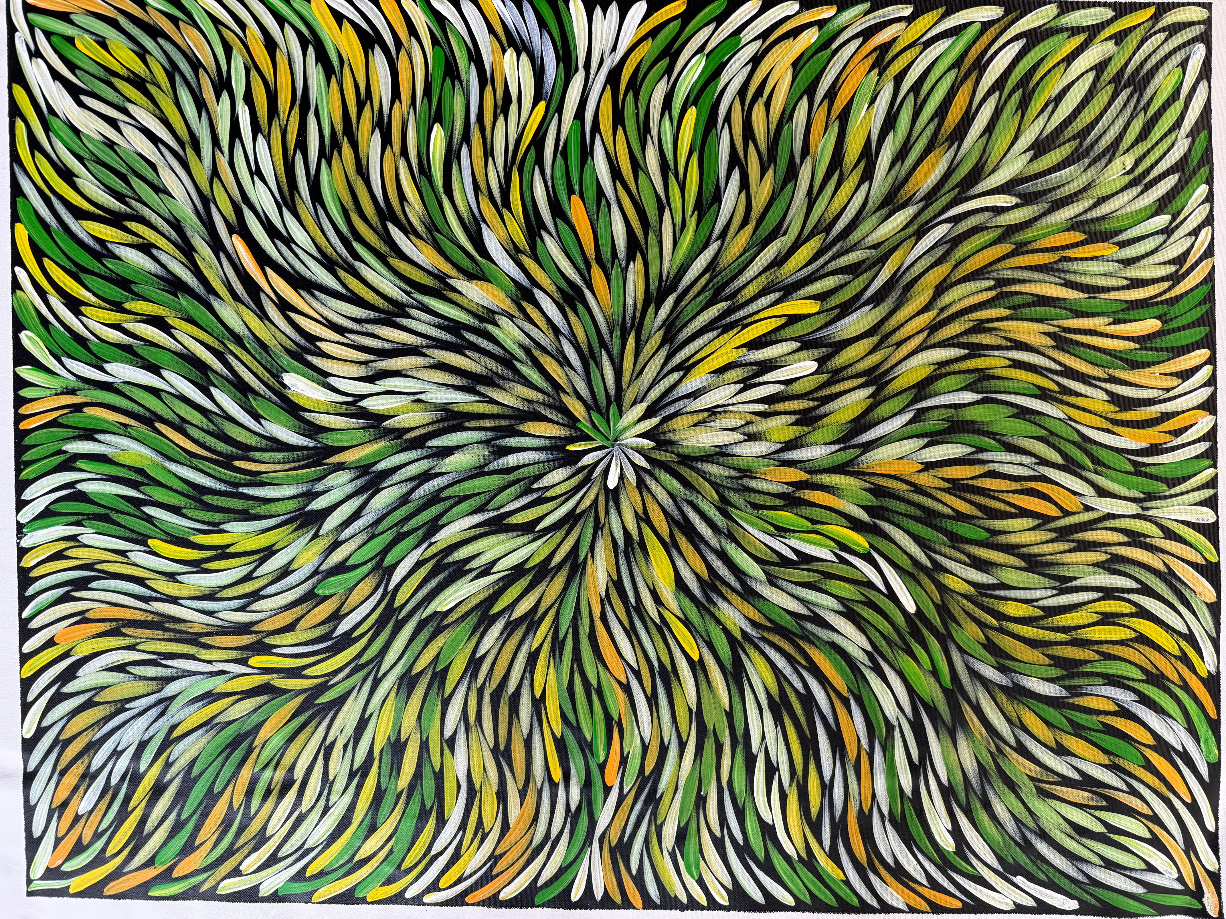 Sharon Numina - Bush Medicine Leaves - 67x89cm .14-26