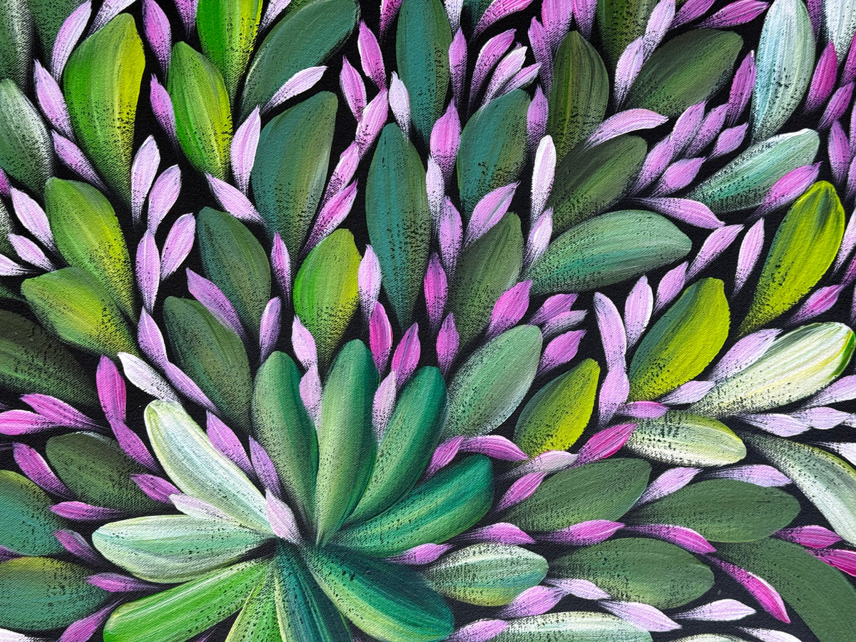 Louise Numina Napananka - Bush Medicine Leaves .43-11
