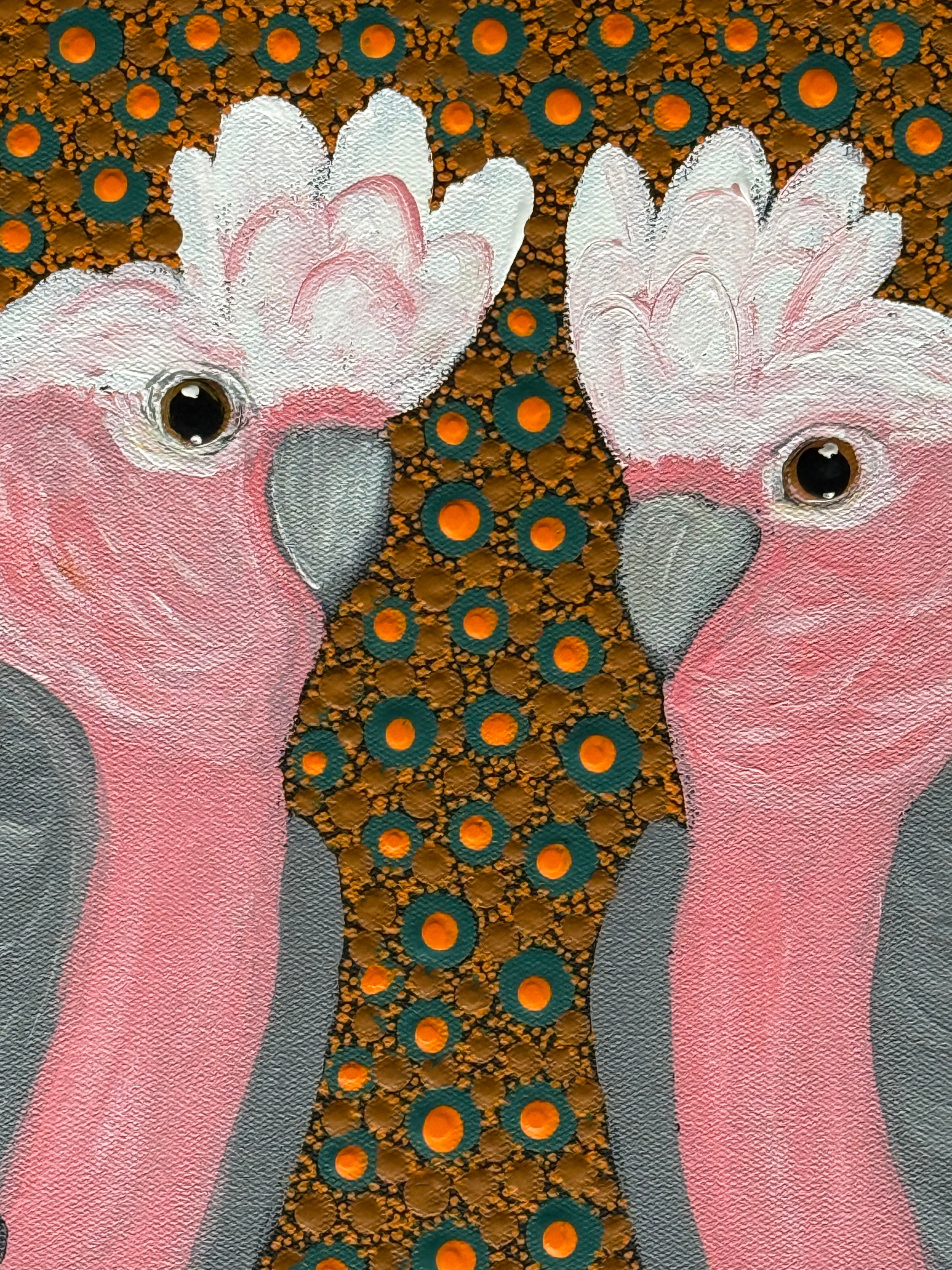 Kathleen Buzzacott - Galahs .41-10