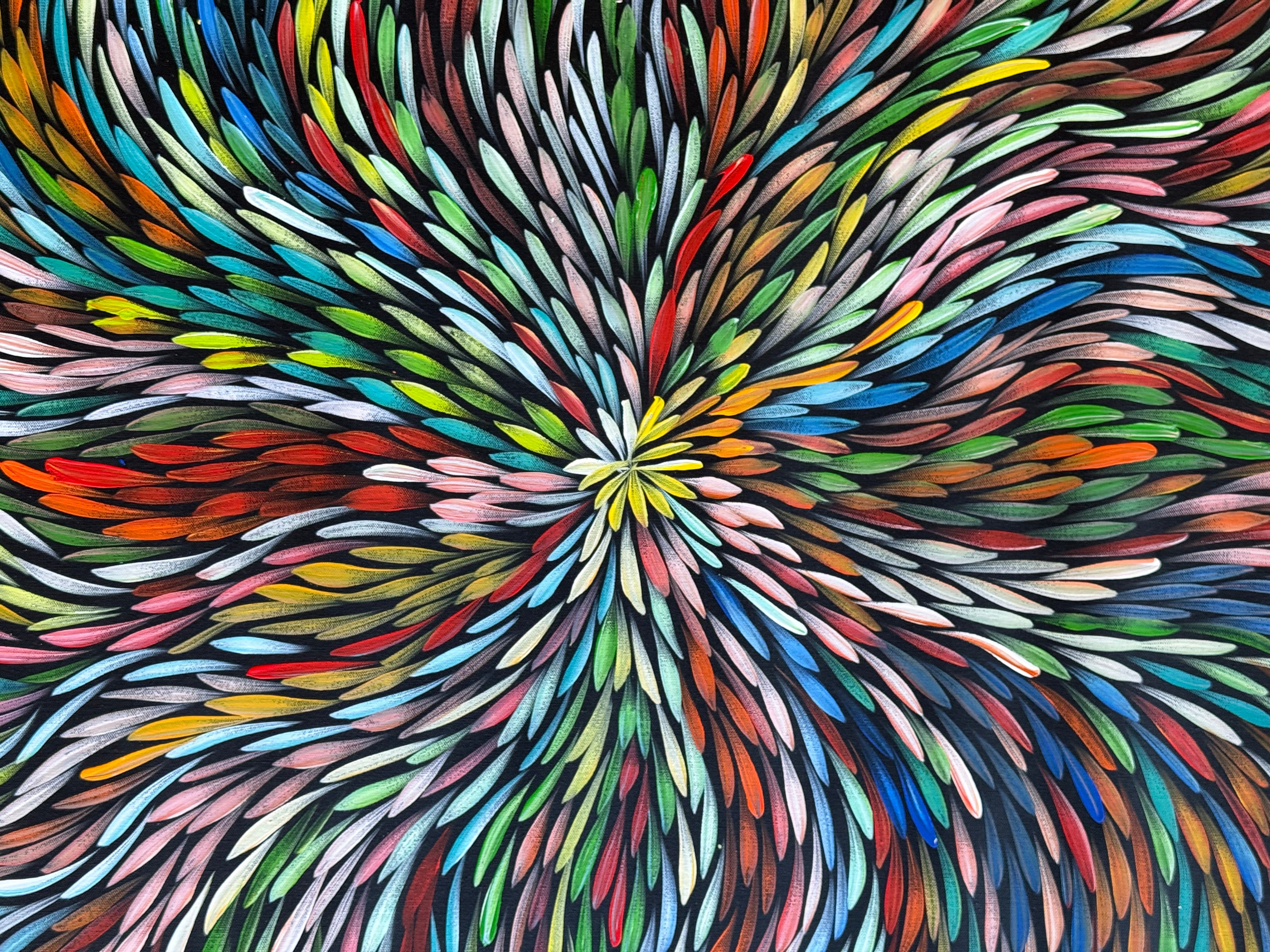 Sharon Numina - Bush Medicine Leaves .01-4