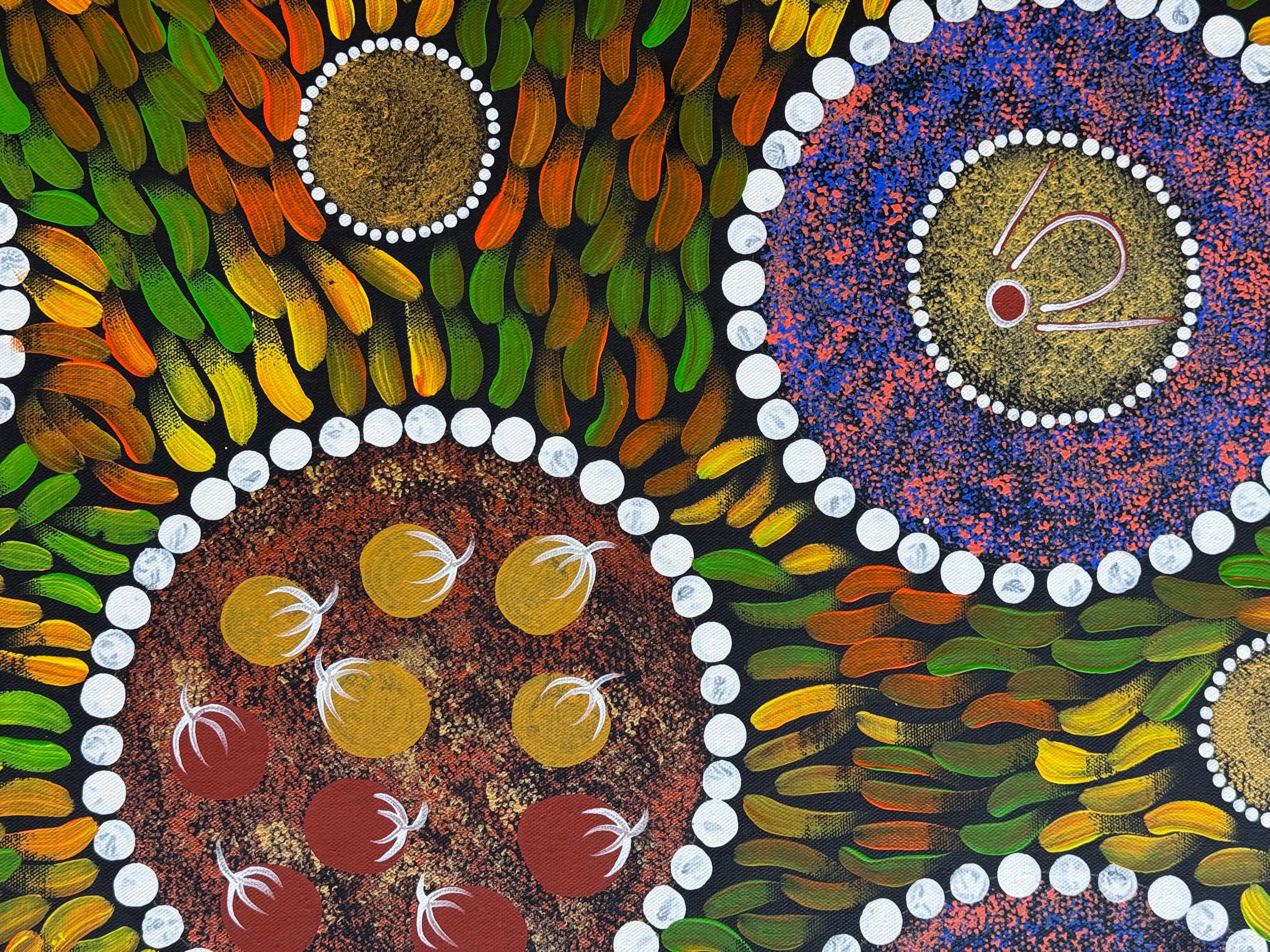 Sabina Gorey - Bush Medicine Leaves .04-6