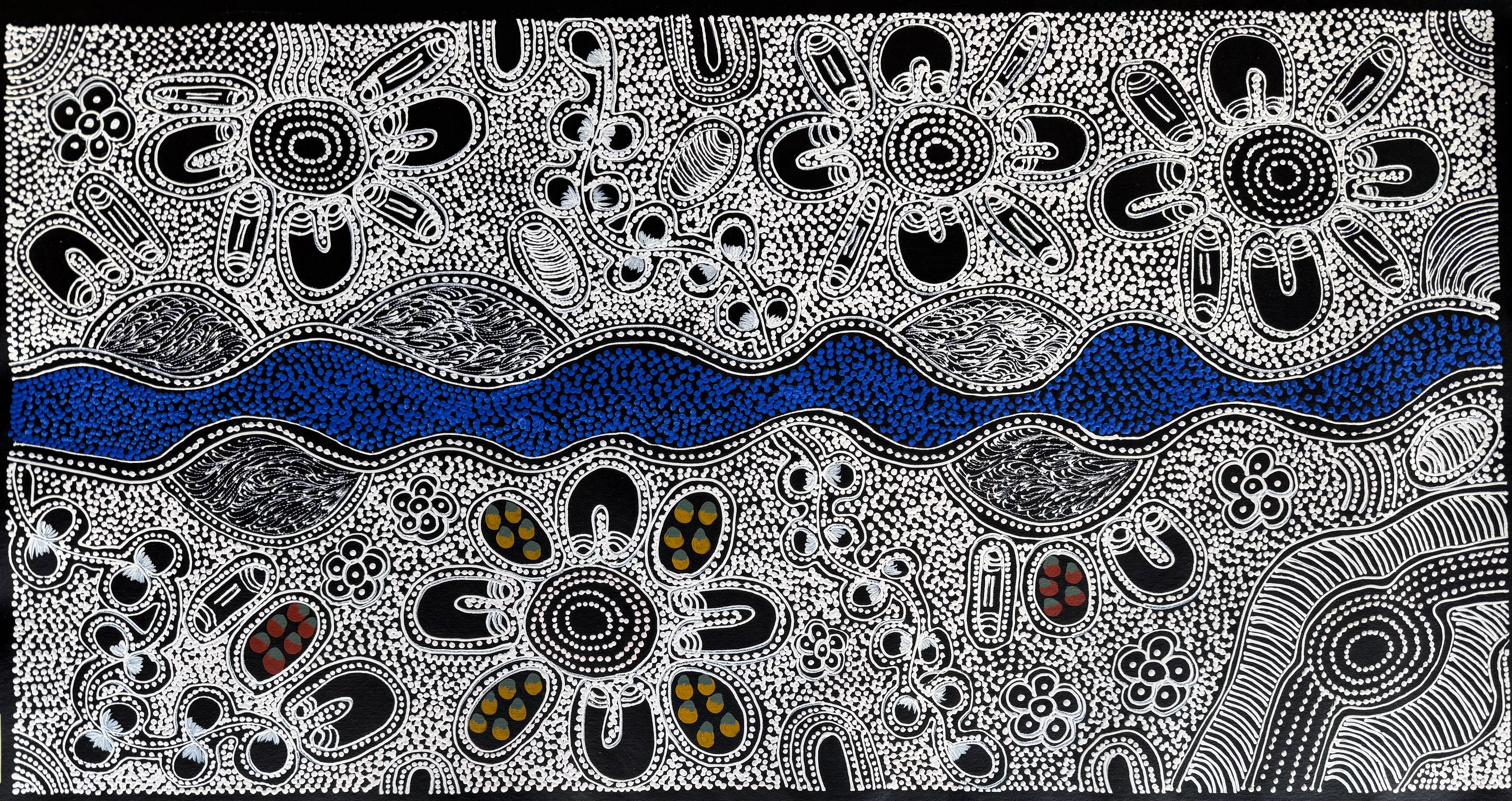 Lanita Numina - Wome Ceremonies, Collect Bushberries .15-23