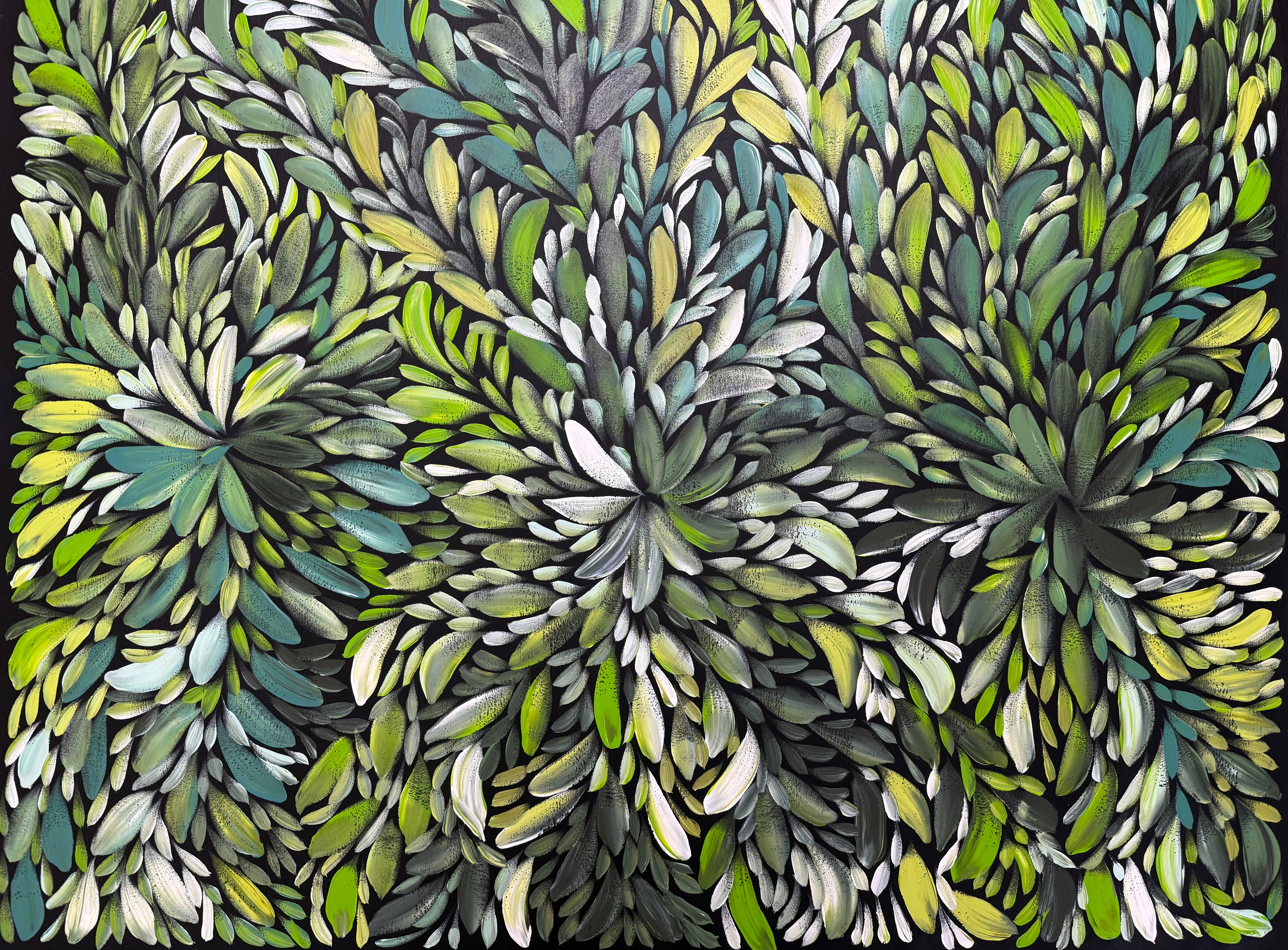 Louise Numina Napananka - Bush Medicine Leaves .22-26