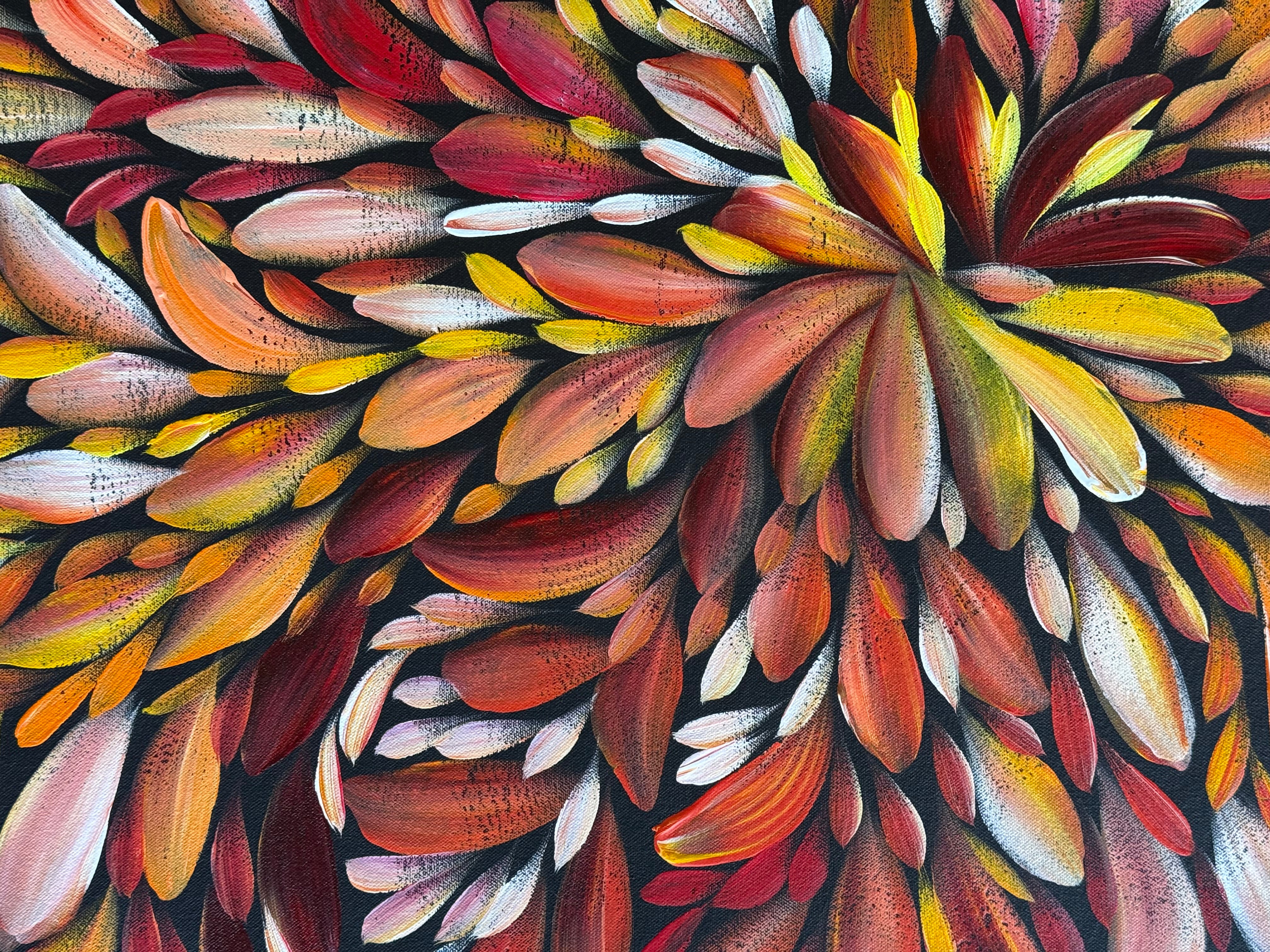 Louise Numina Napananka - Bush Medicine Leaves .24-12