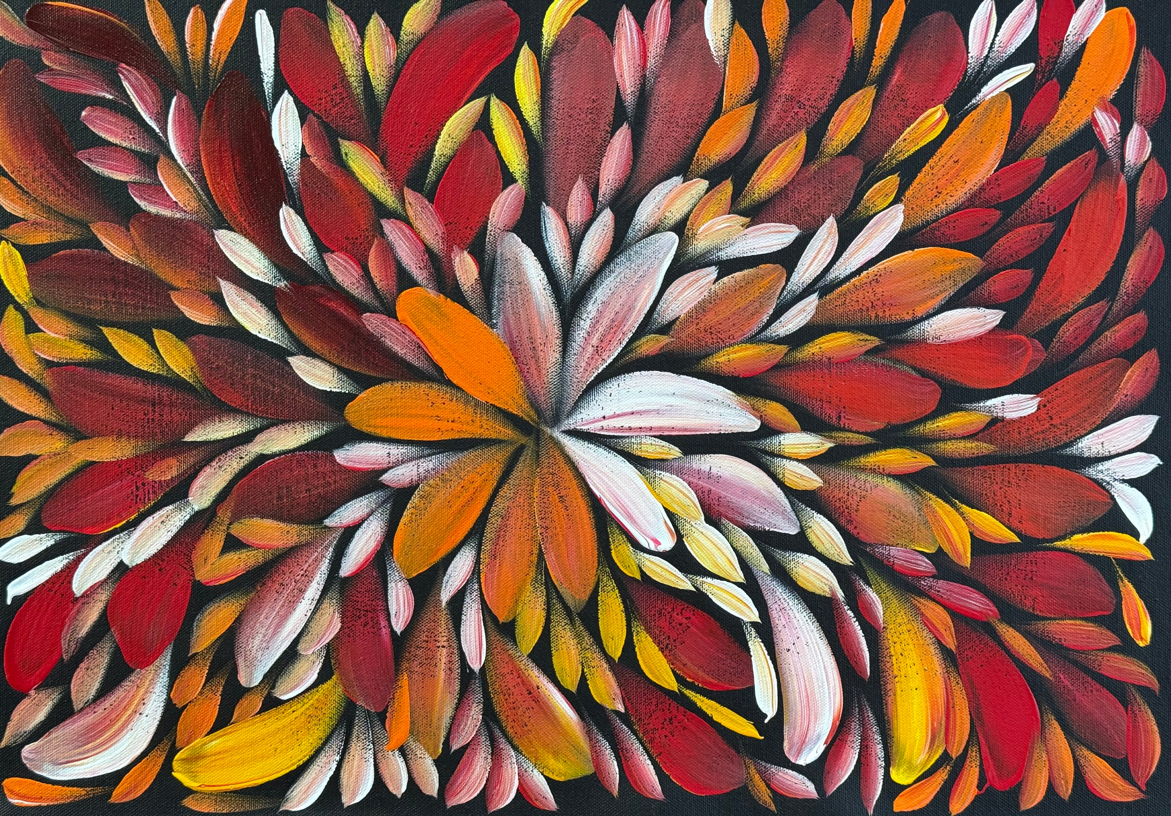 Louise Numina Napananka - Bush Medicine Leaves .24-6